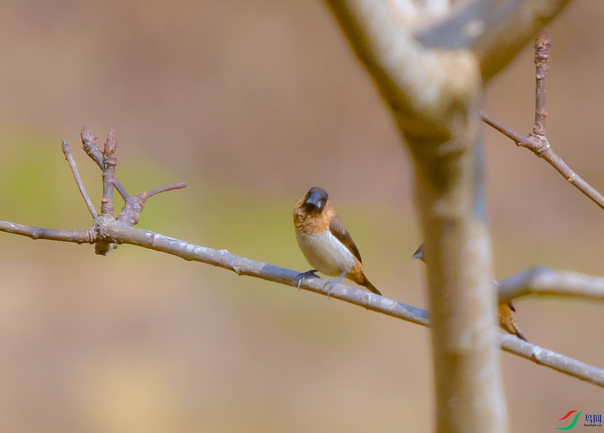 DSC_3408.JPG