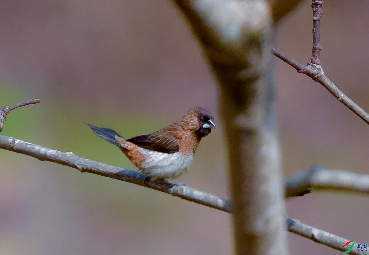 DSC_3406.JPG
