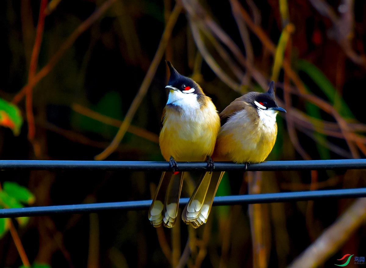 DSC_1357.JPG
