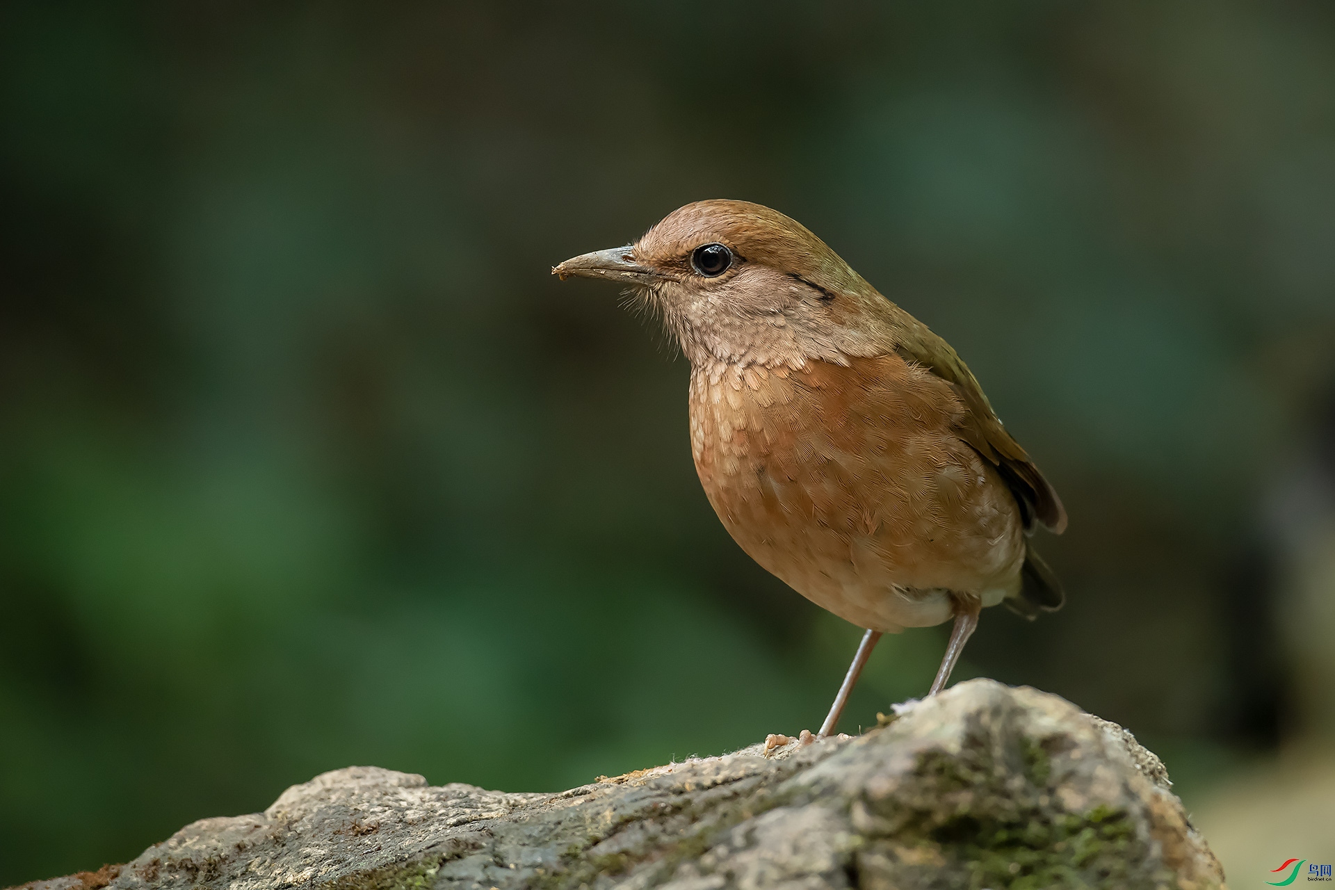 DSC_1397.jpg