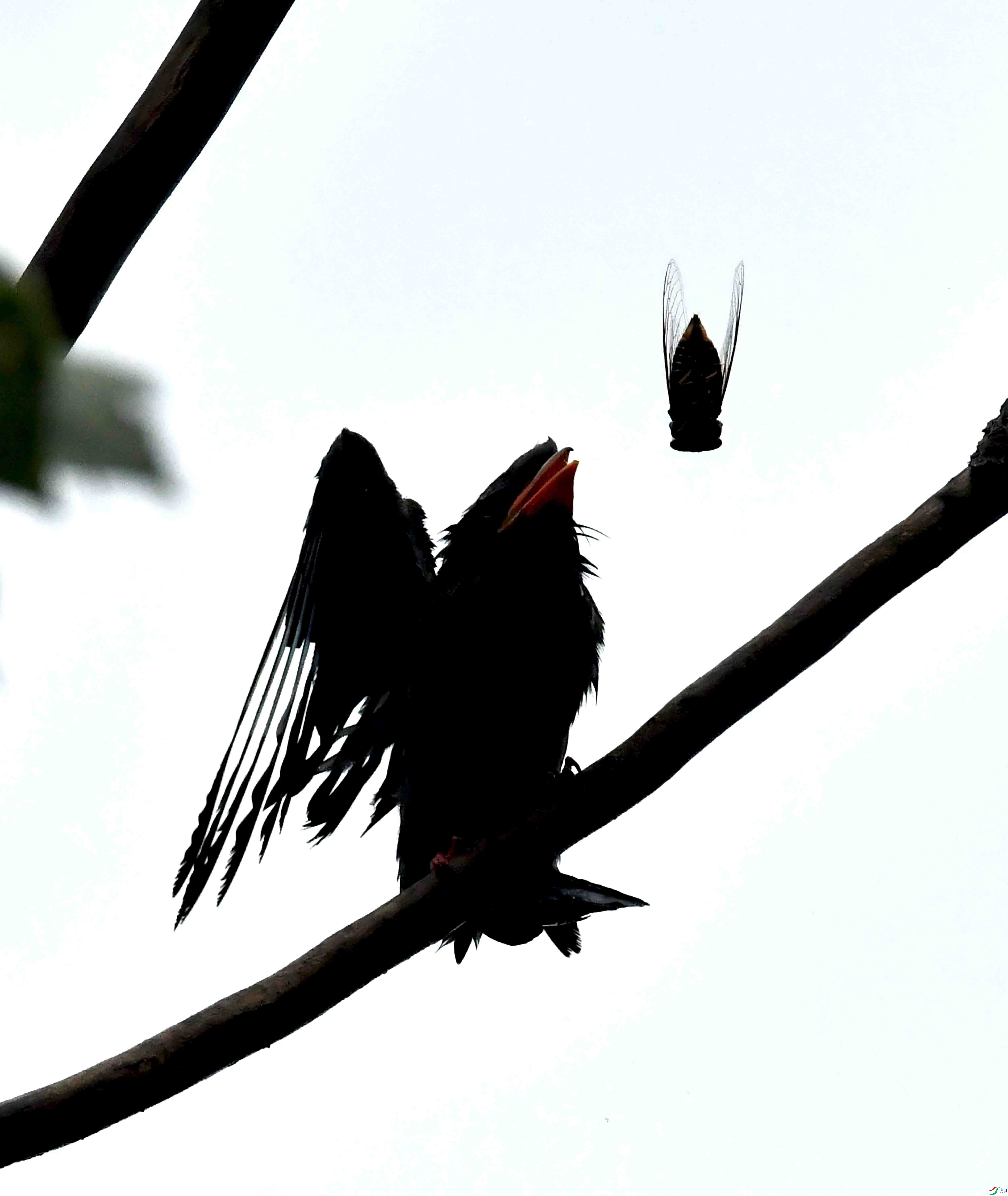 DSC_2427.JPG