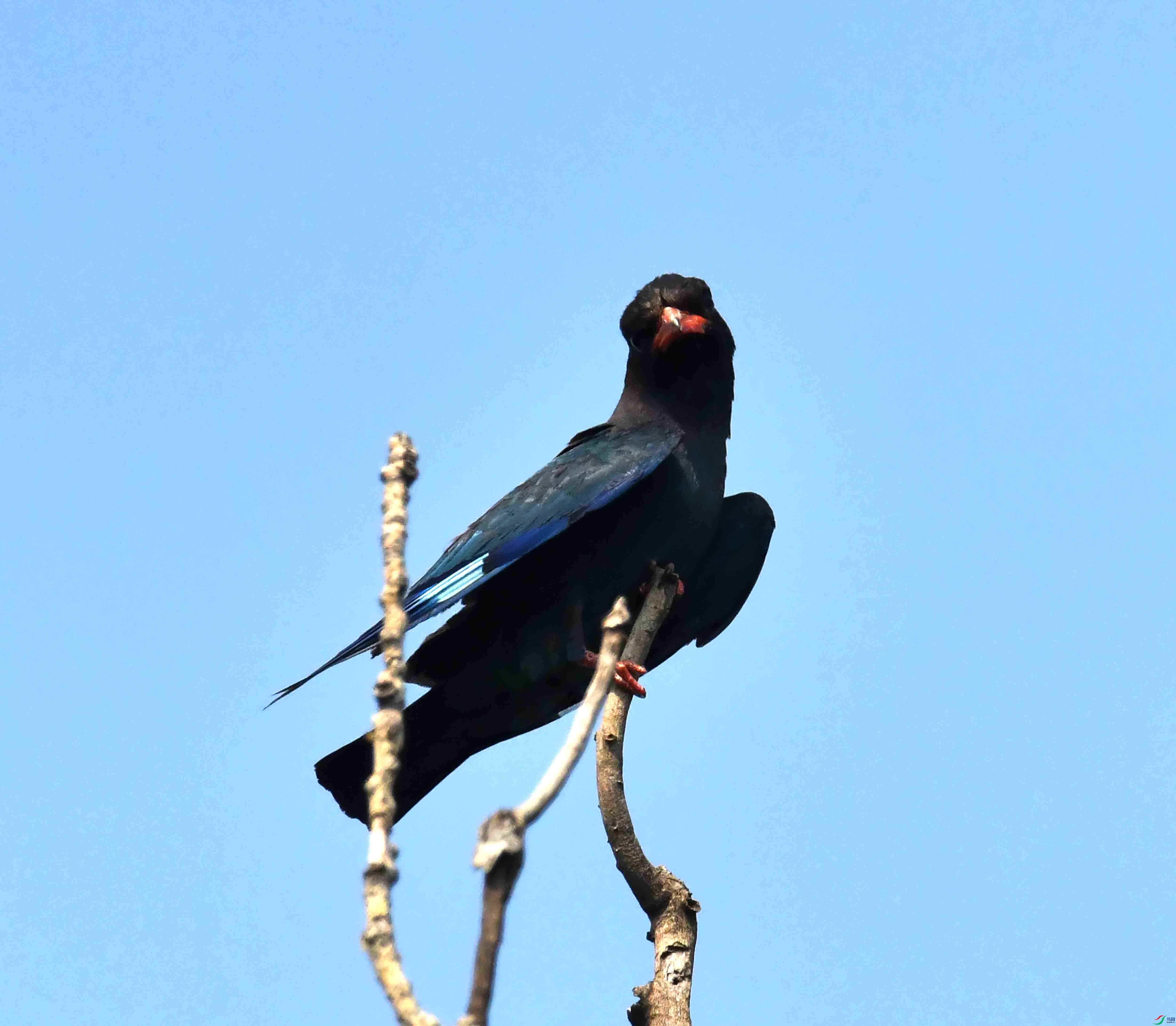 DSC_4115.JPG