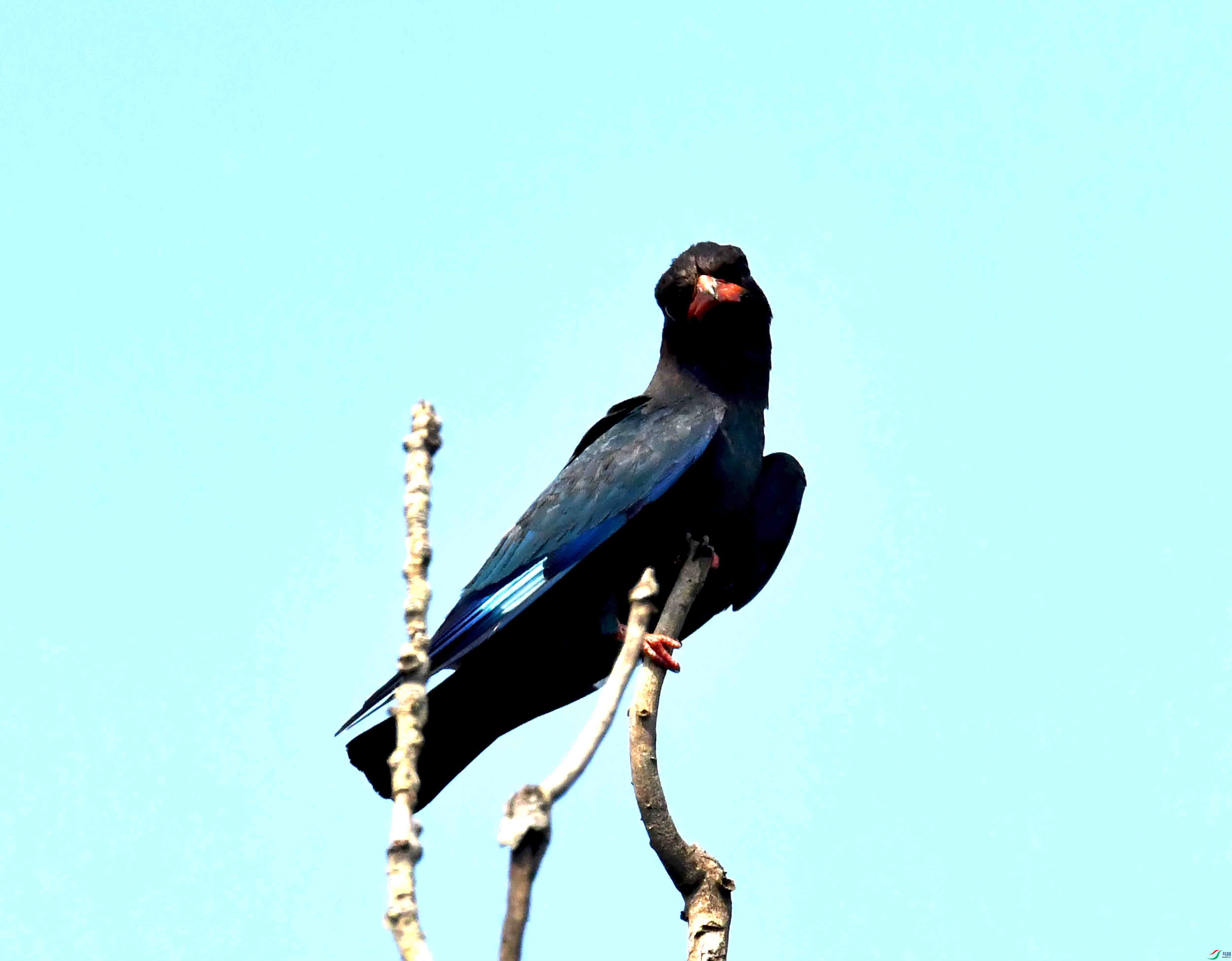 DSC_4116.JPG