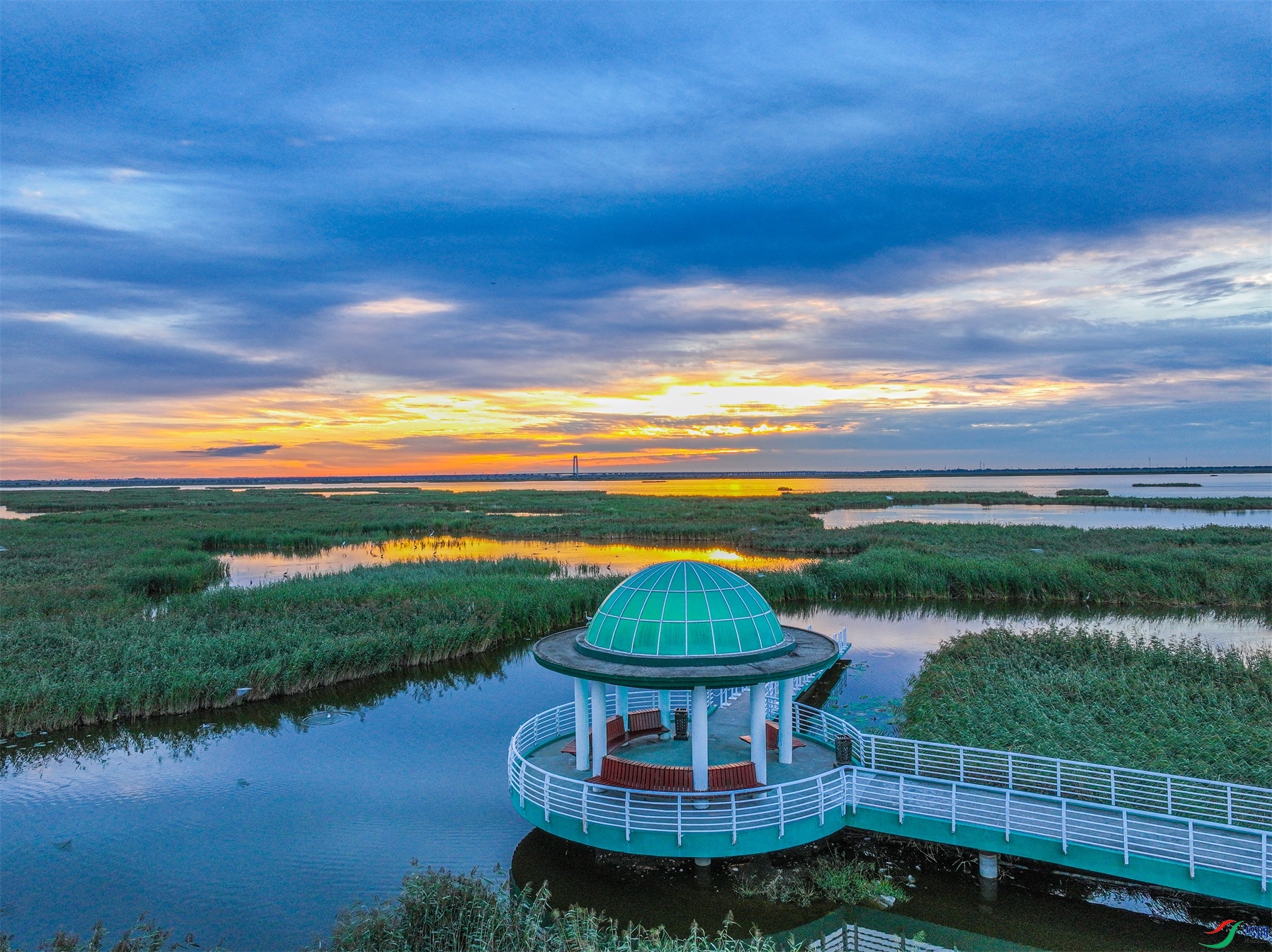 dji_fly_20230825_045338_46_1692931880102_photo ����1.jpg