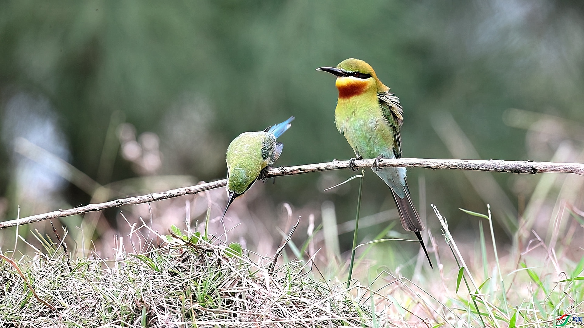 һ����Ը �޹�����.jpg