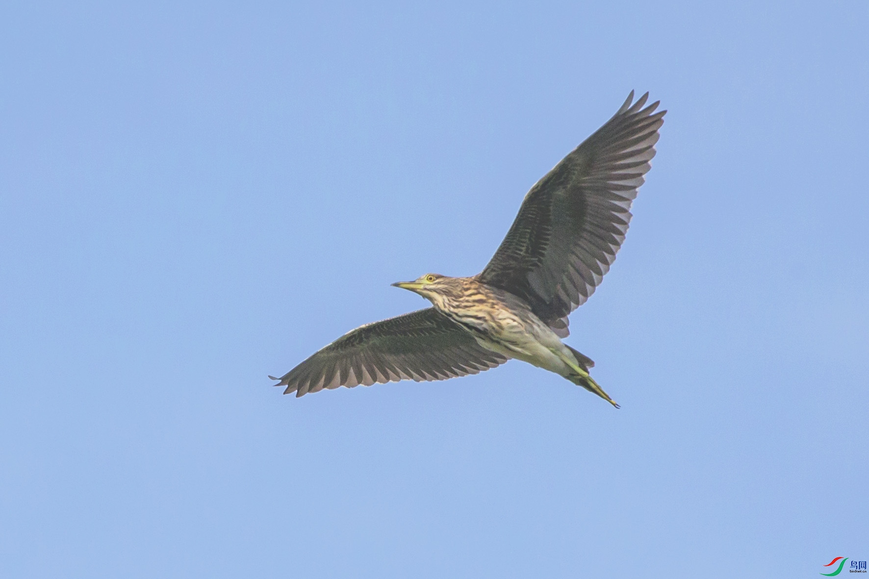 _MG_7672 ����.jpg