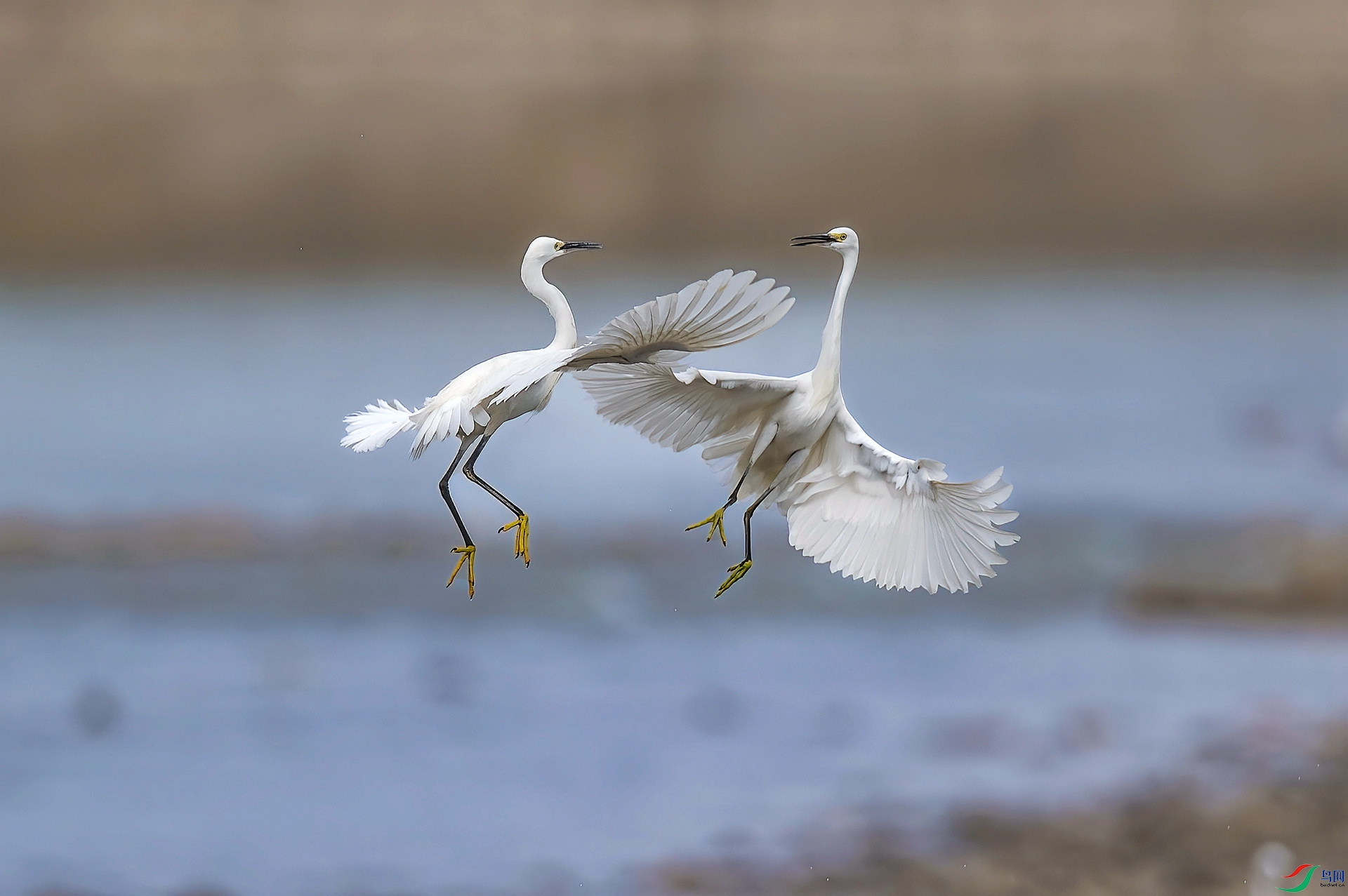 DSC_0767 ����_����_������.jpg