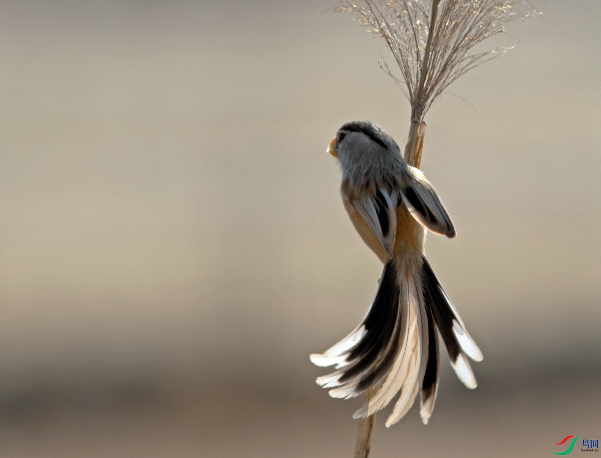0K0A0221.jpg