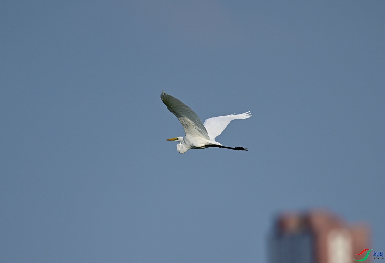 _DSC6144.jpg
