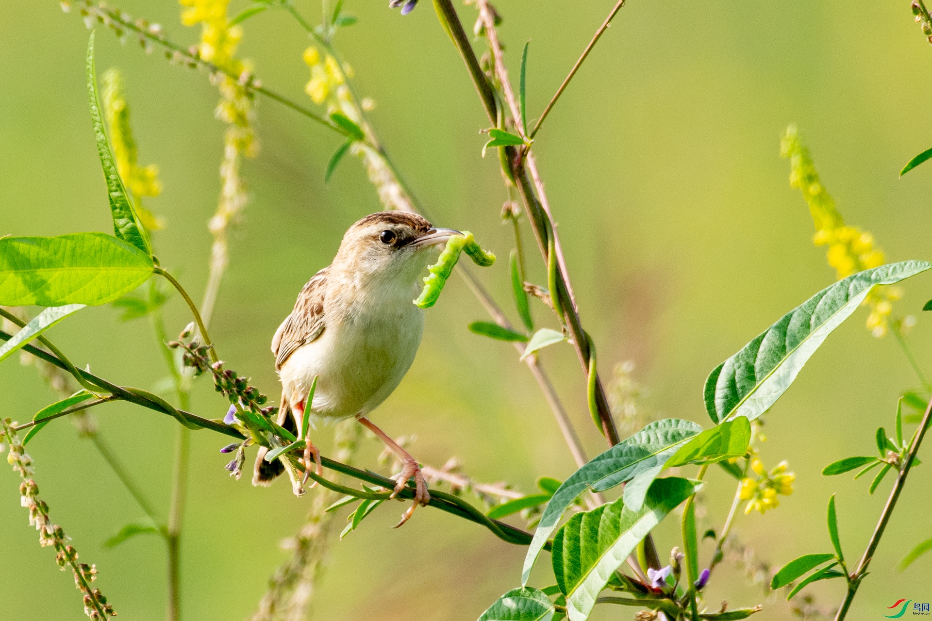 DSC_7602.jpg
