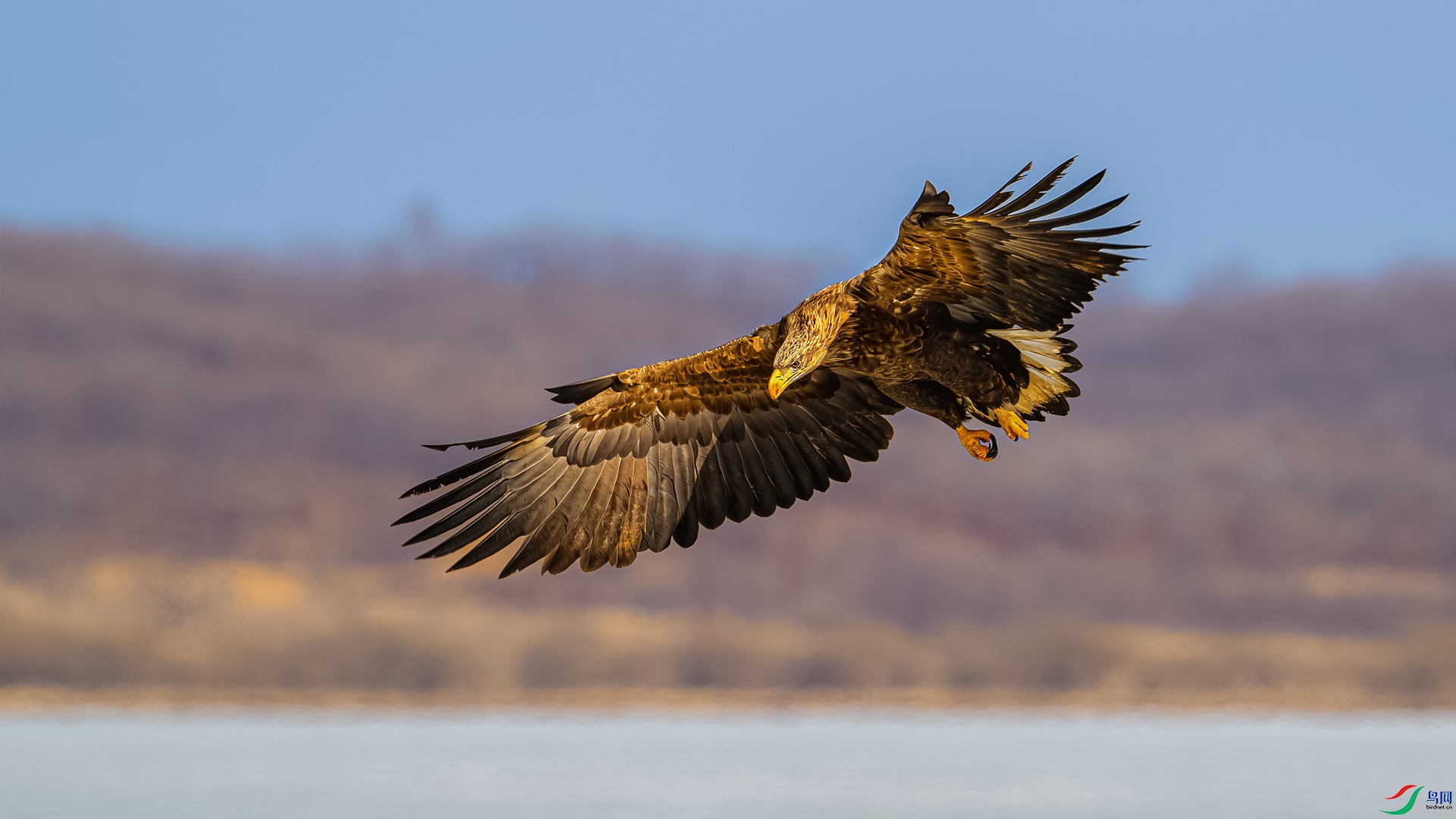 DSC_6616==1w.jpg