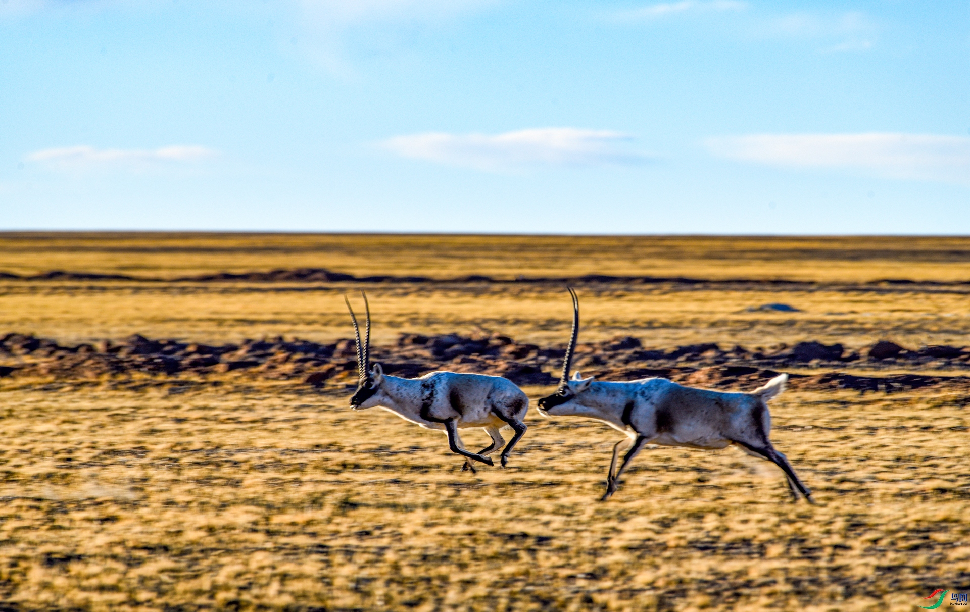 _DSC3415_����.jpg