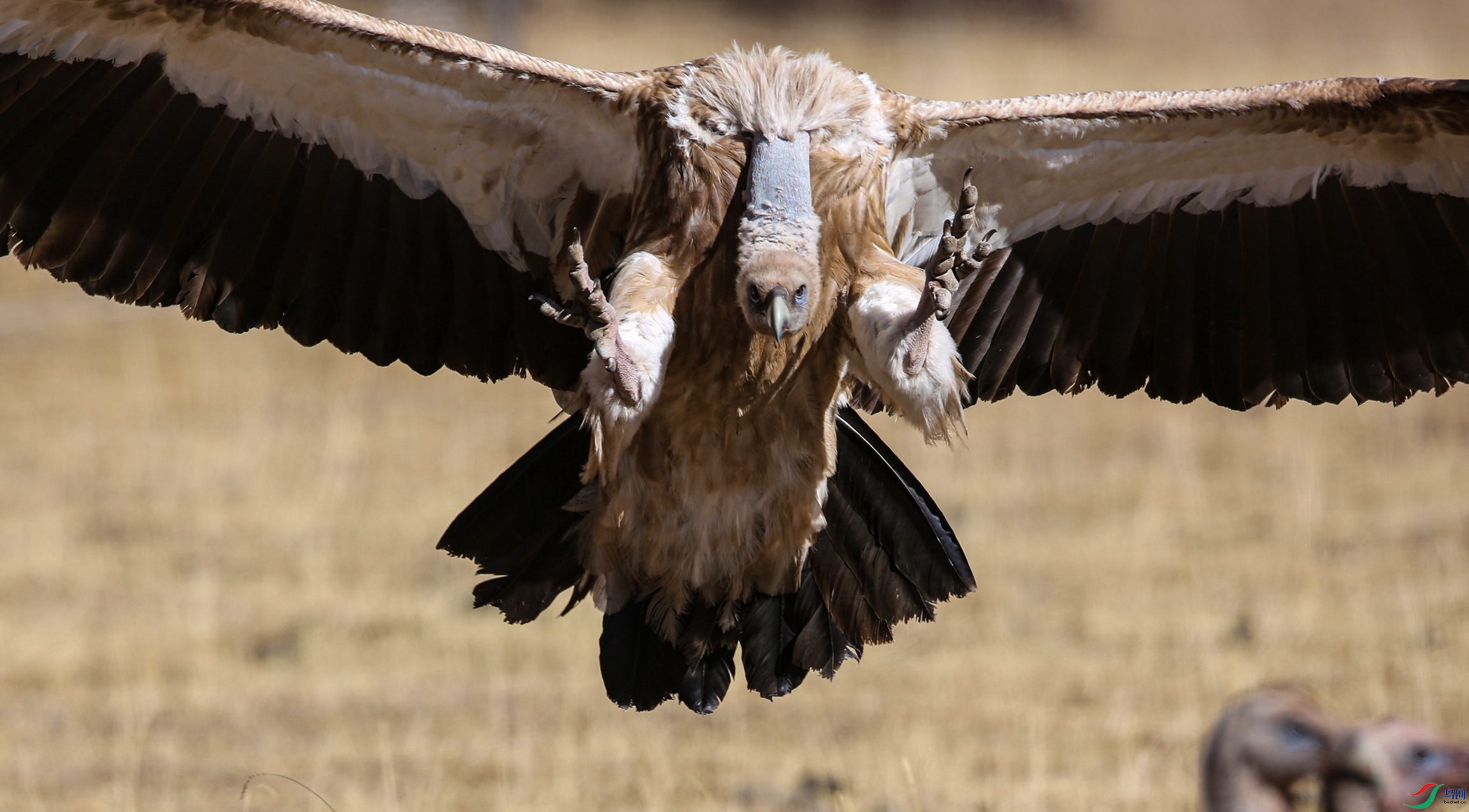 X39A9932 - ����.JPG