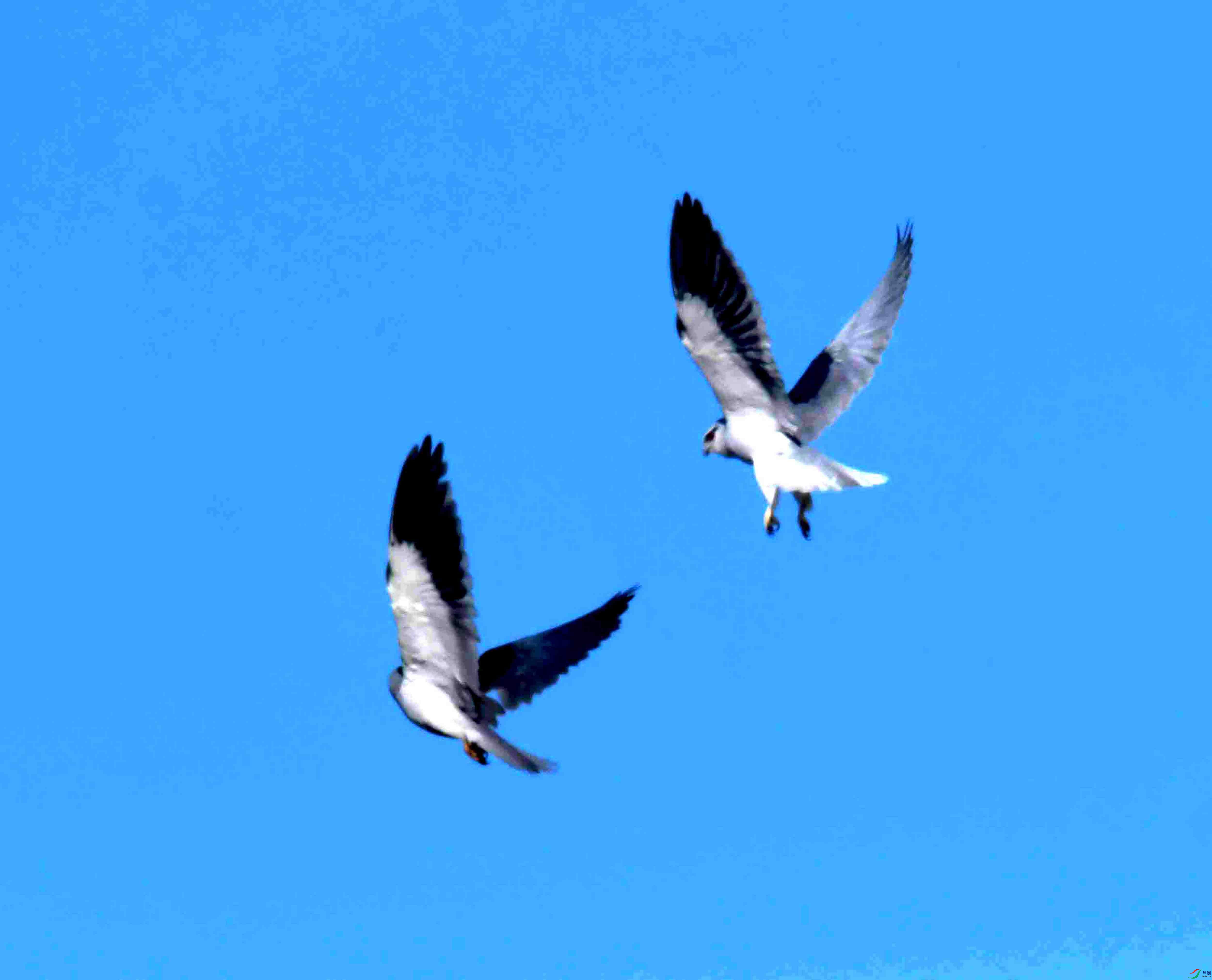 DSC_6861.JPG