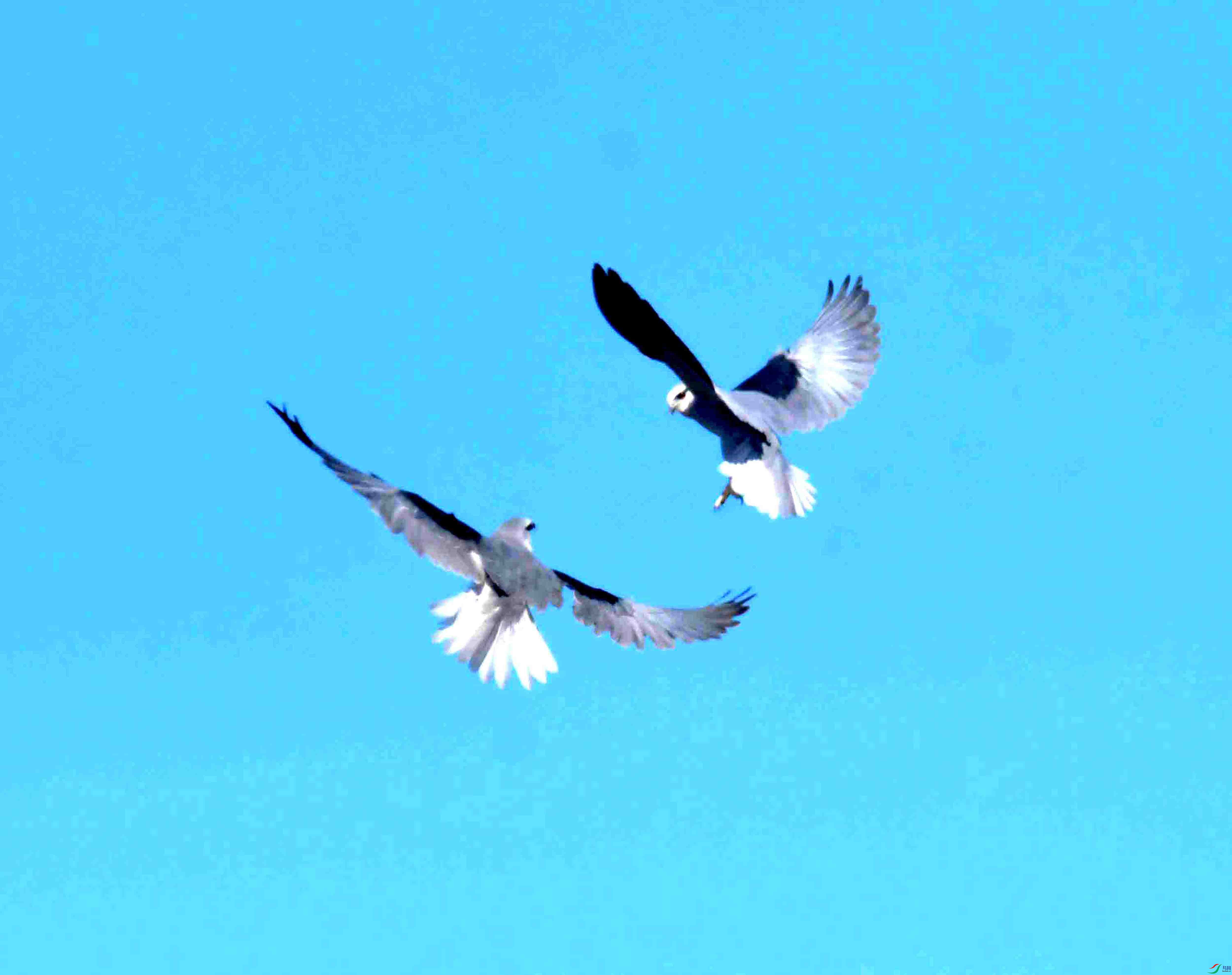 DSC_6863.JPG