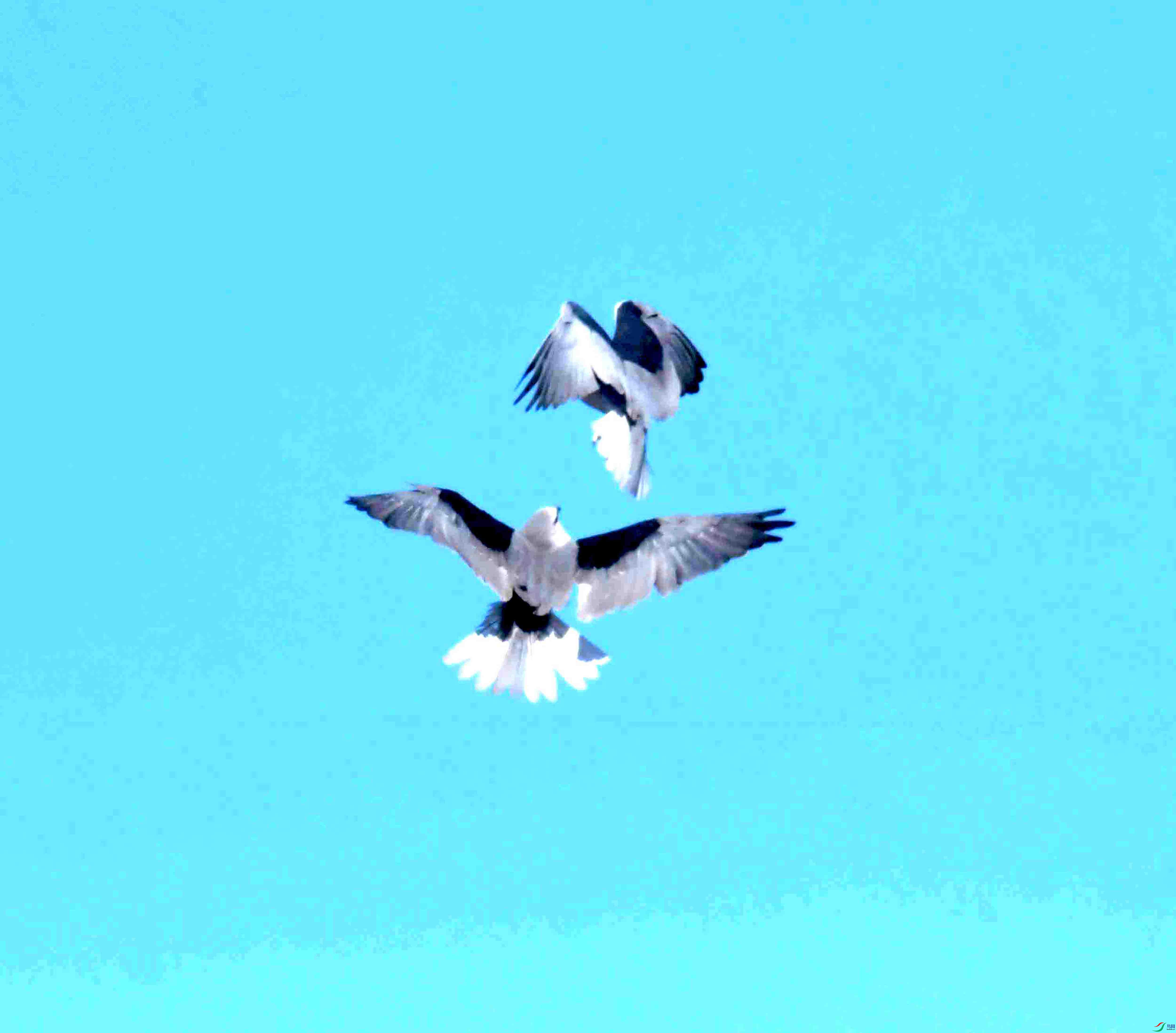 DSC_6864.JPG