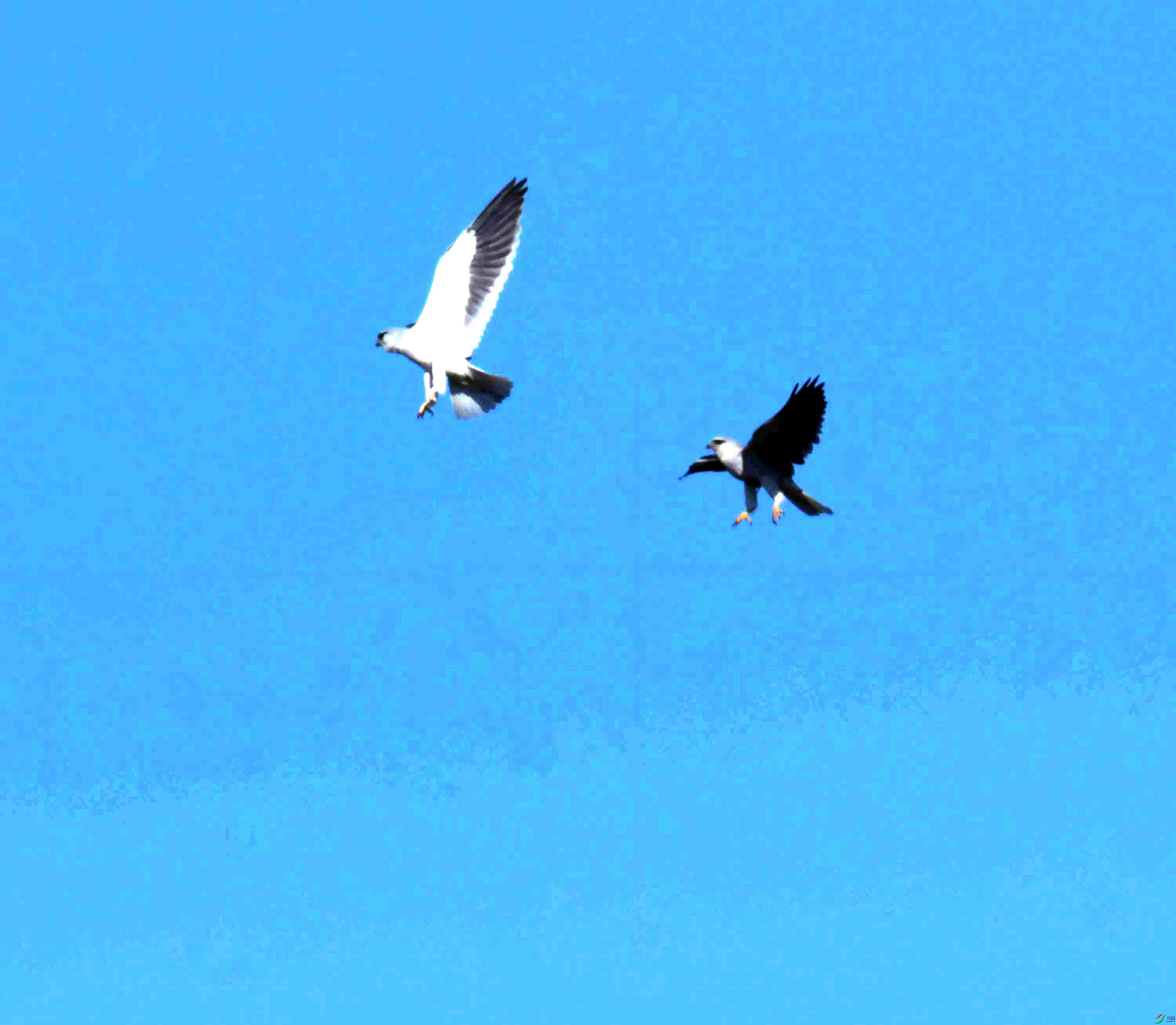 DSC_6891.JPG