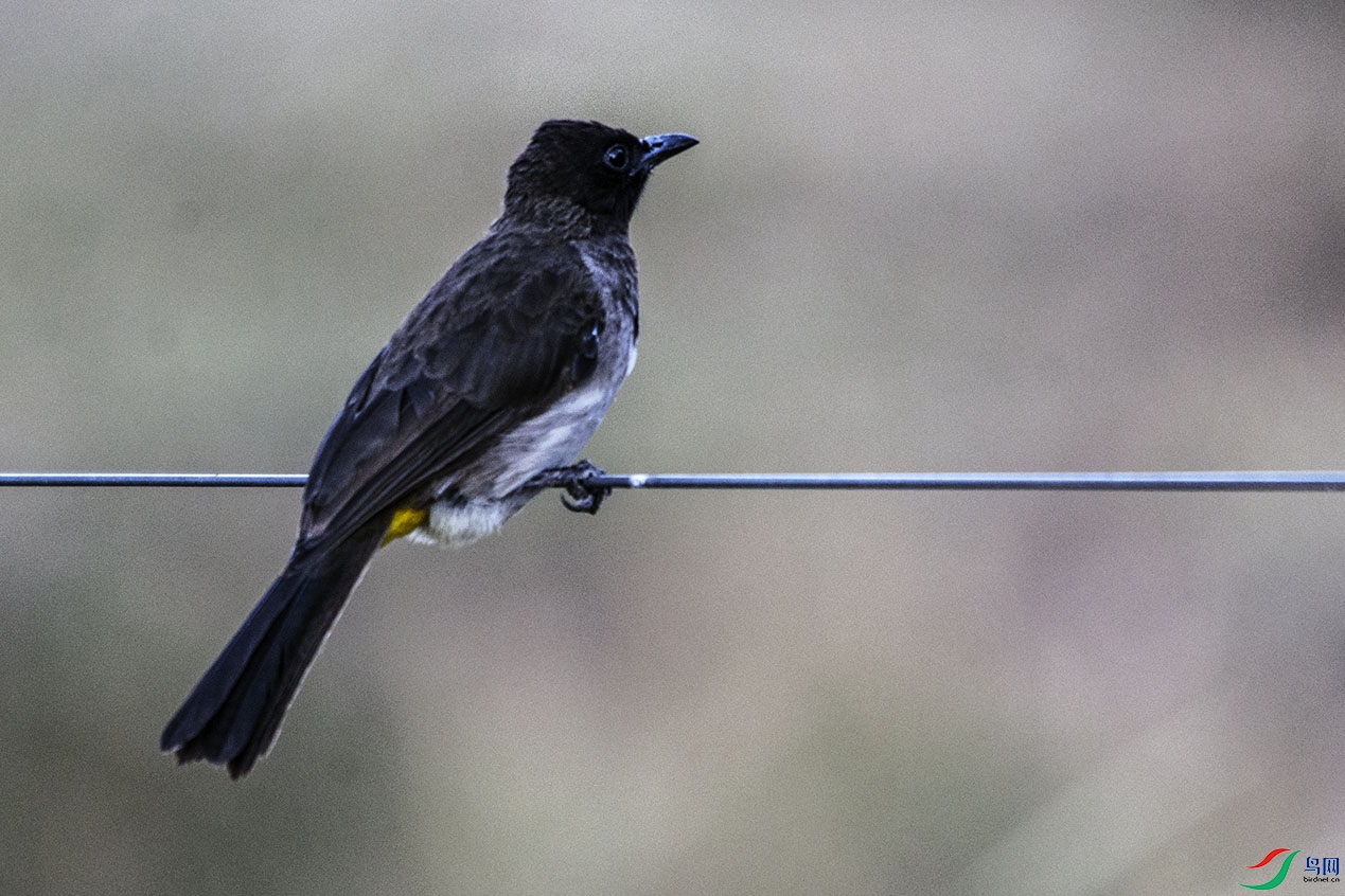 DSC_3144.jpg