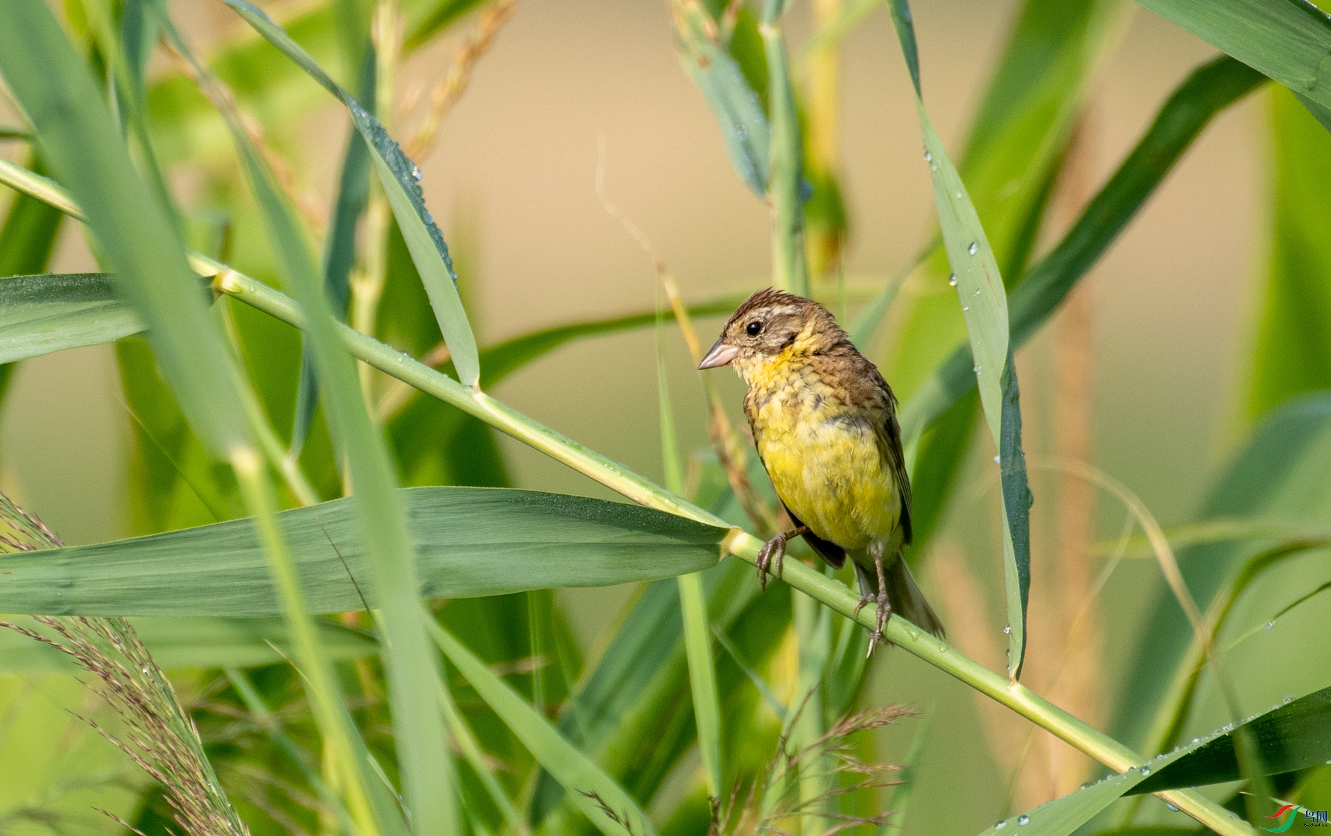 DSC_8483.jpg