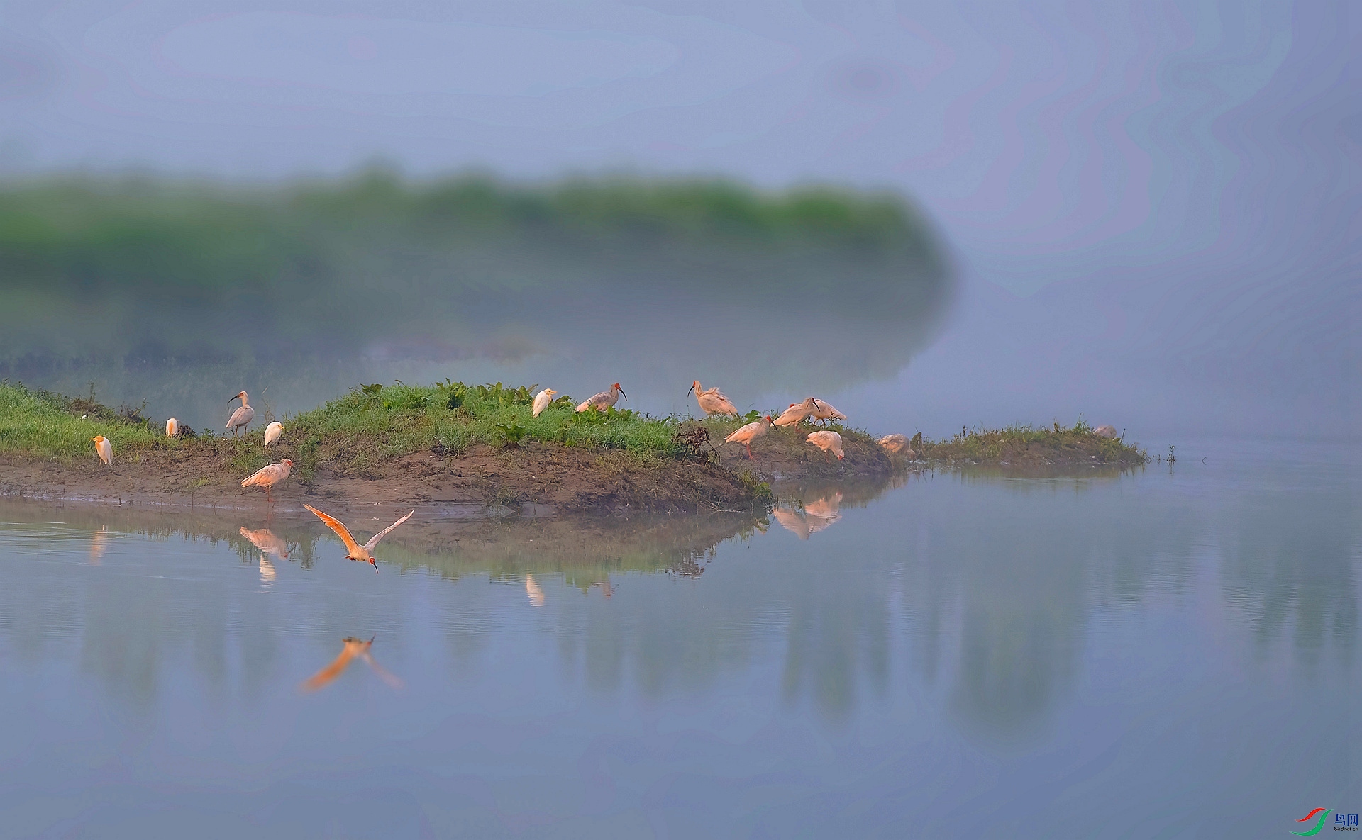 DSC_0169 ����_����_����.jpg