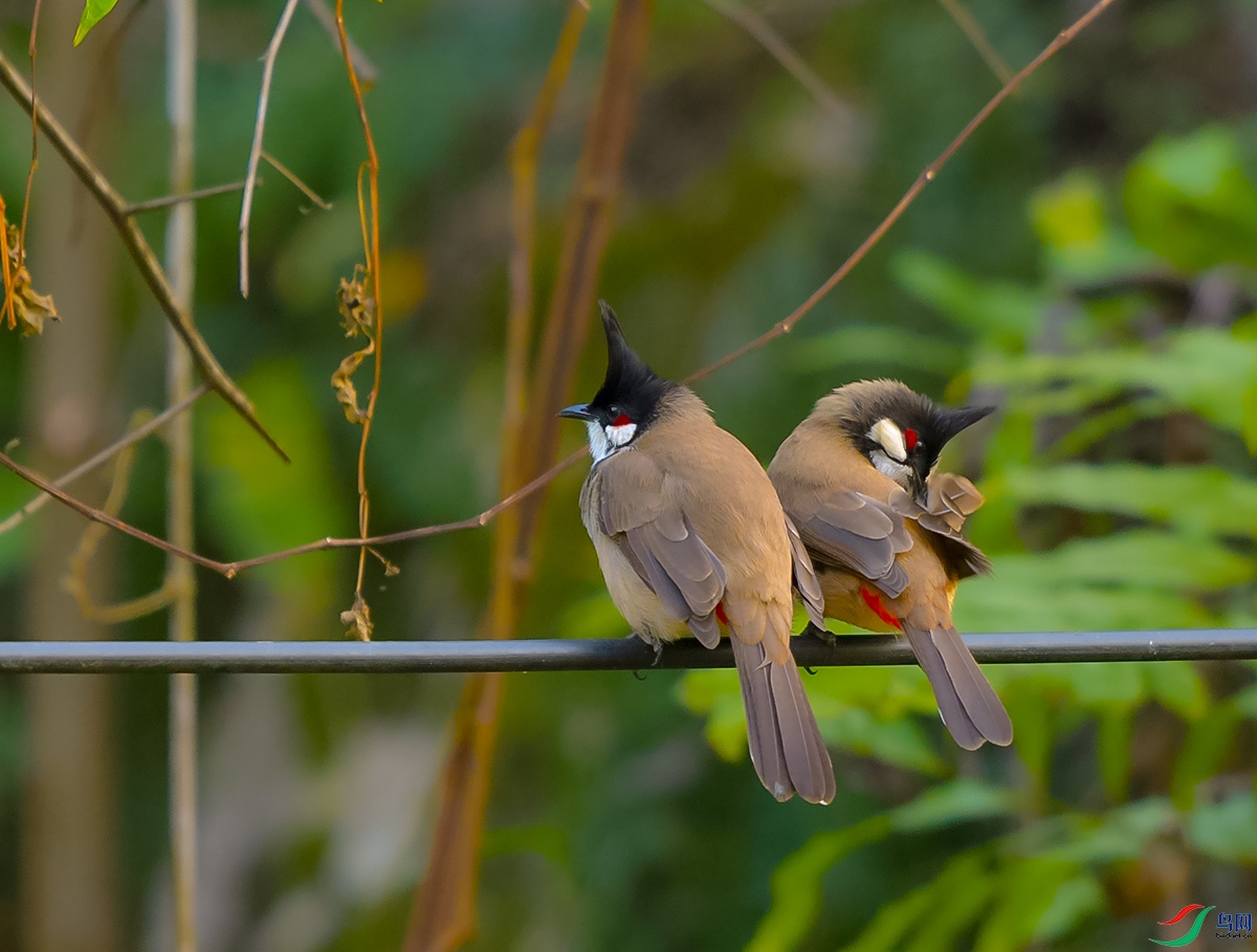 DSC_1393.JPG