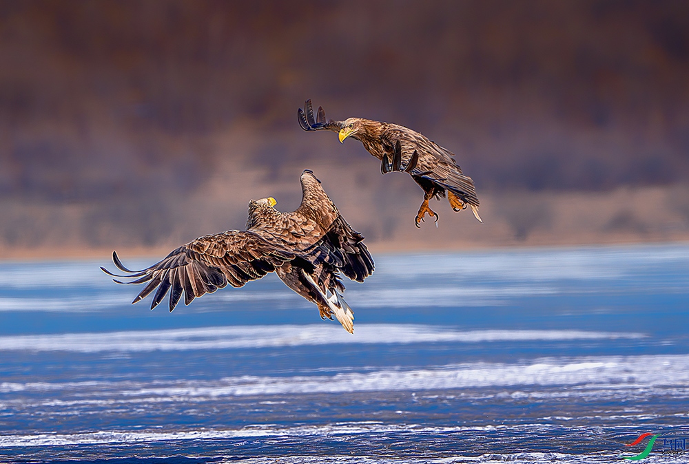 _DSC1214-����ǿ-NR ����.jpg