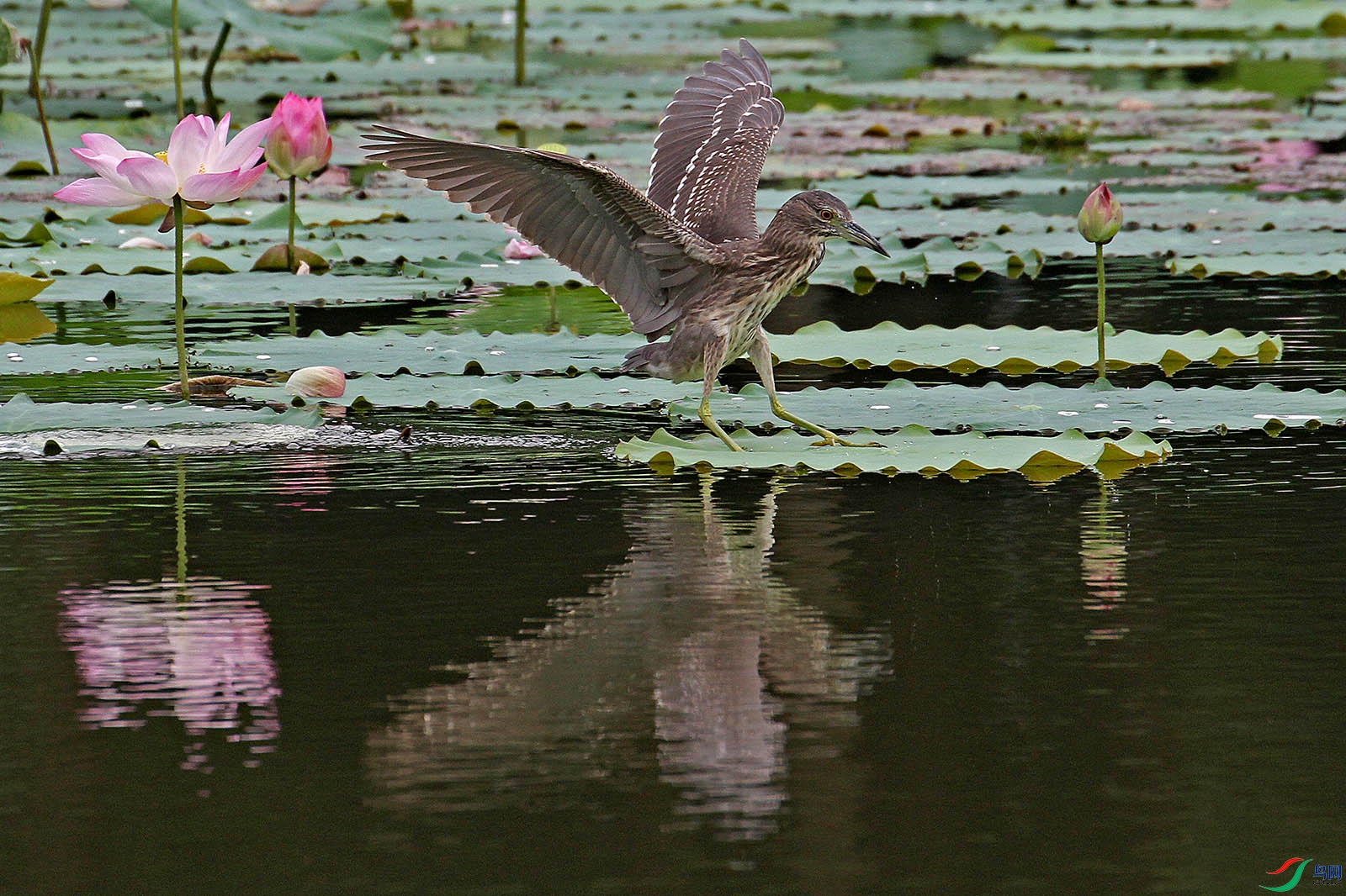 IMG_3632.jpg