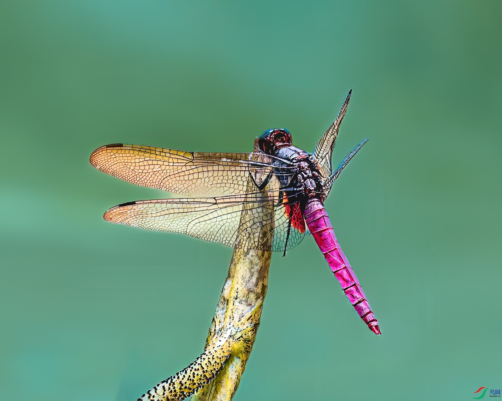 DSC_3095.jpg