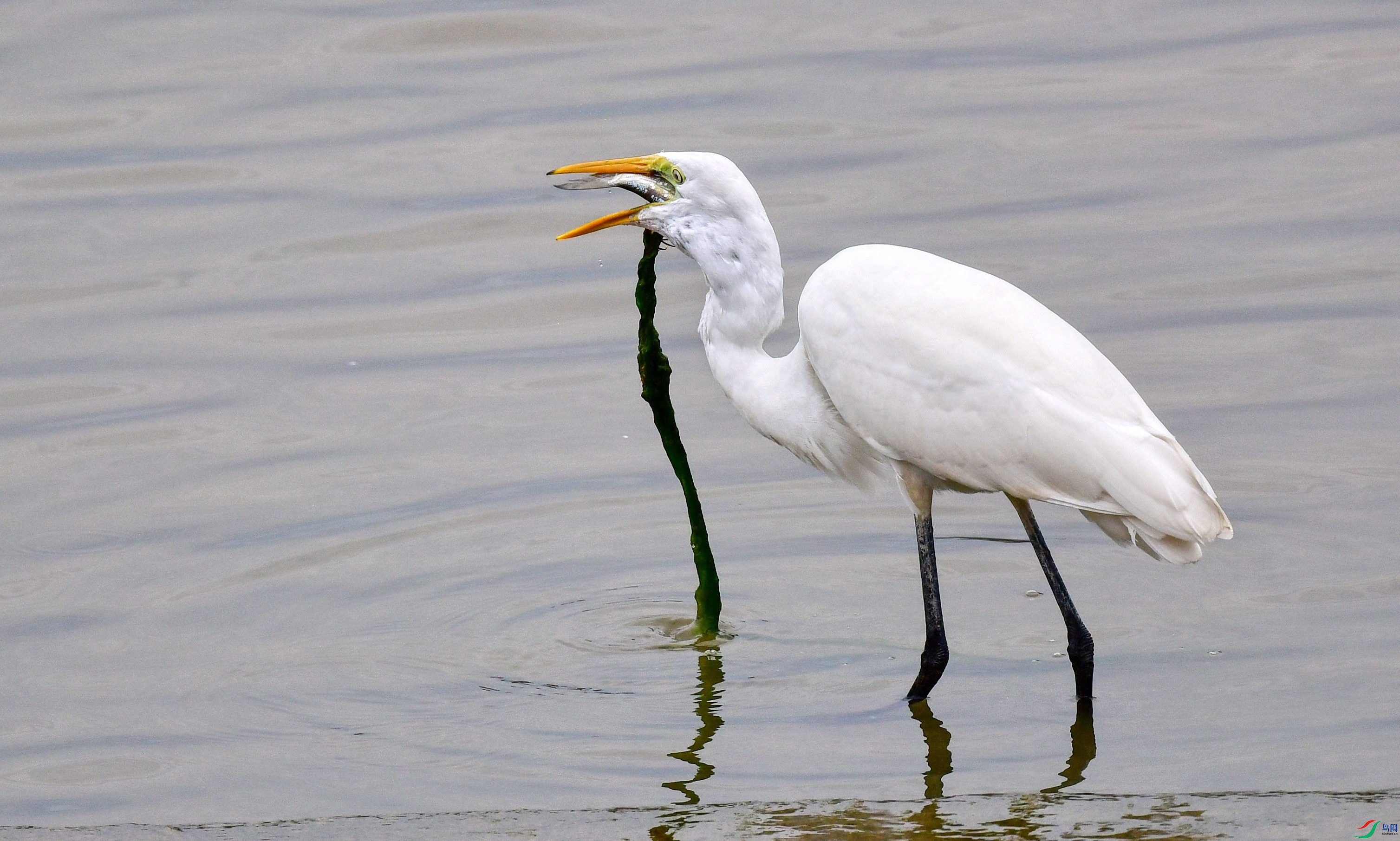 DSC_5641_conew2.jpg