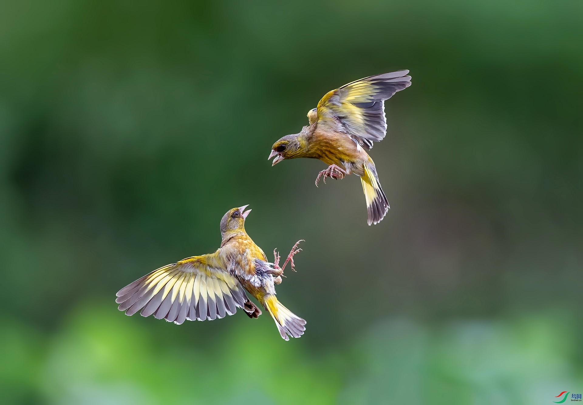 DSC_0266 ����_����.jpg