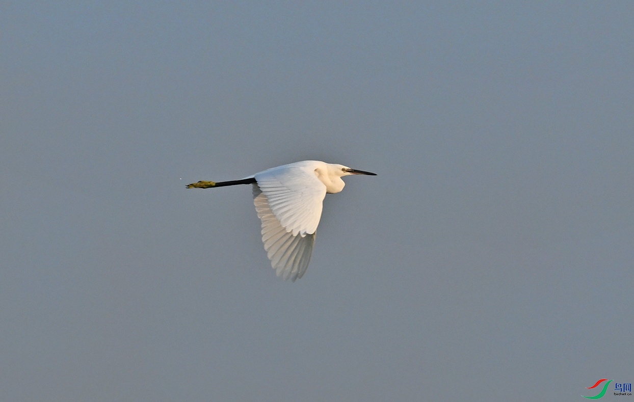 DSC_1503.jpg