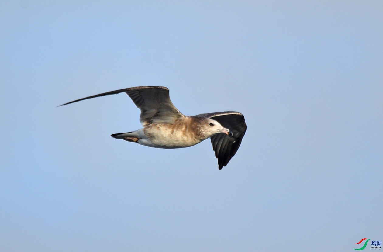 DSC_5321.jpg