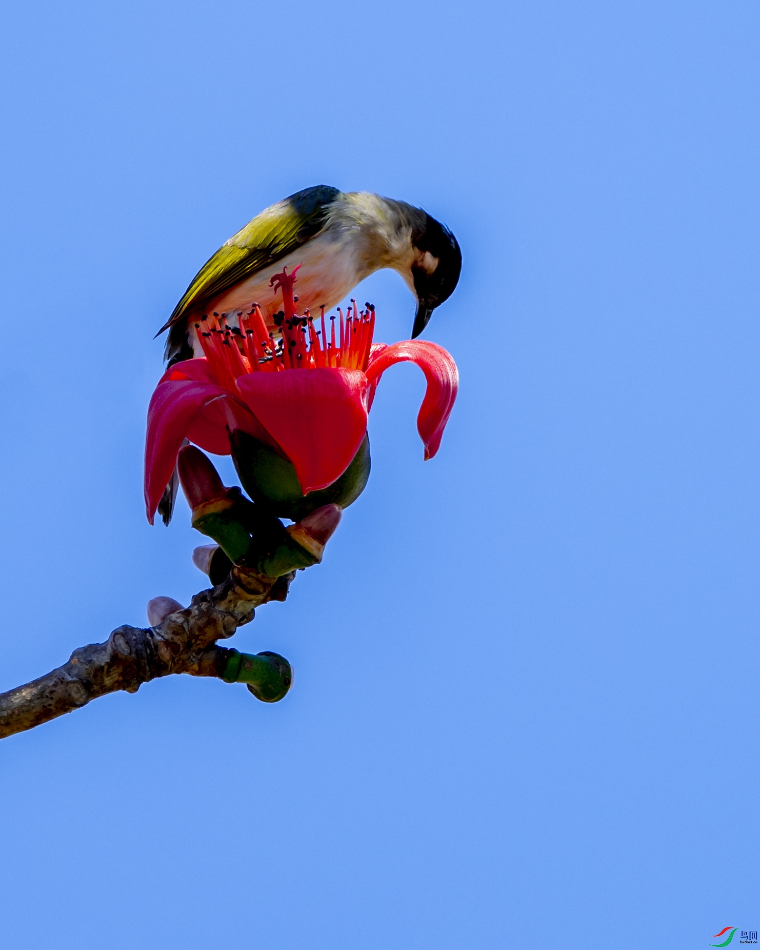 0559 ����.jpg