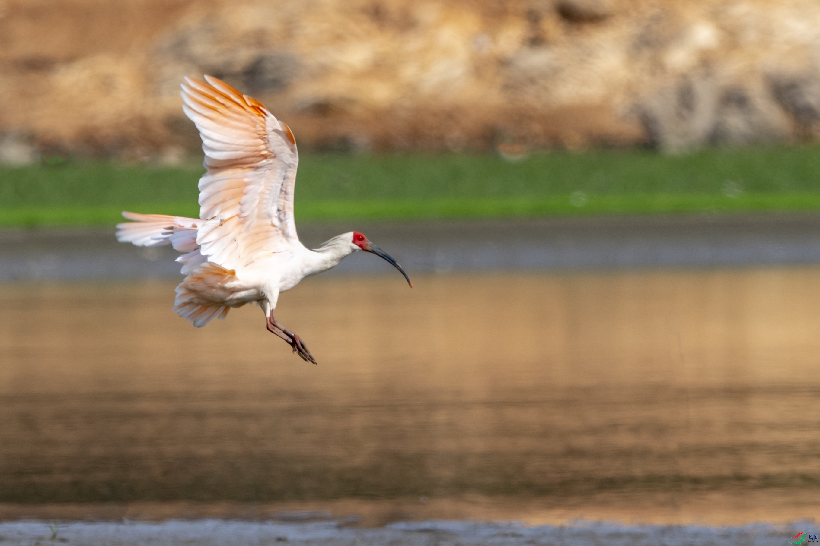 3461 ��������.jpg