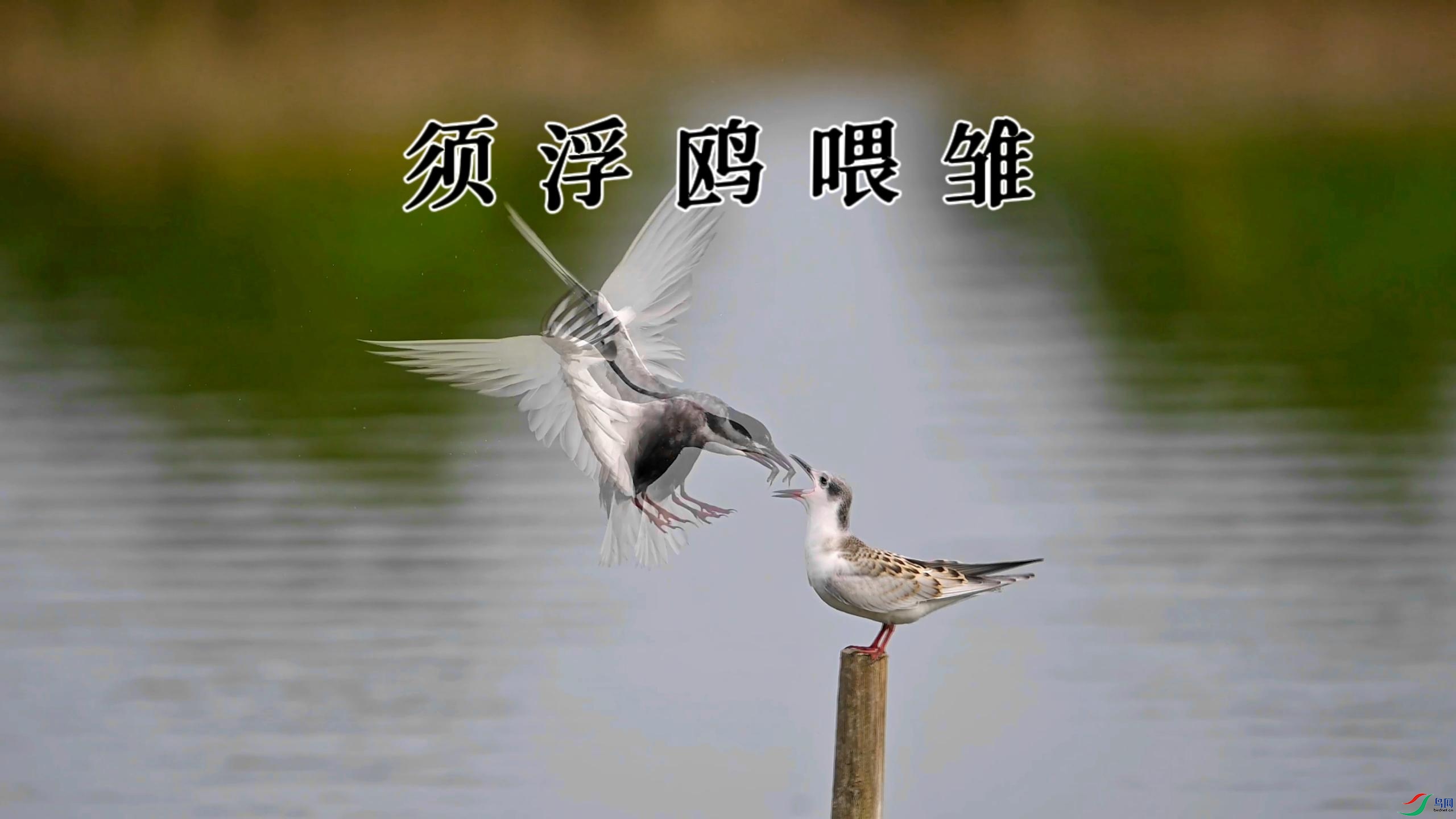 8��28�� (1) (2)-����.jpg