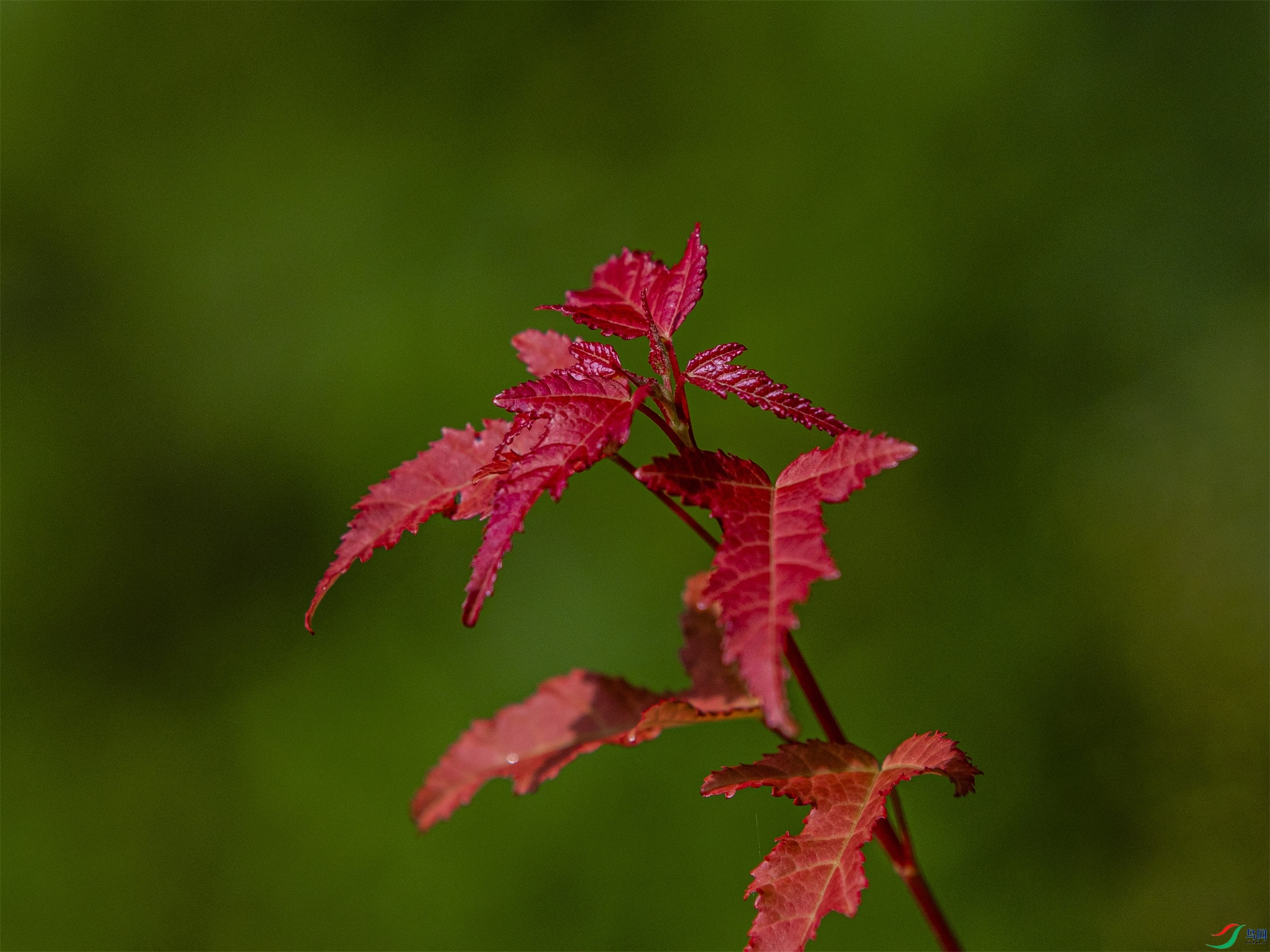 CY4A9464 ����1.jpg