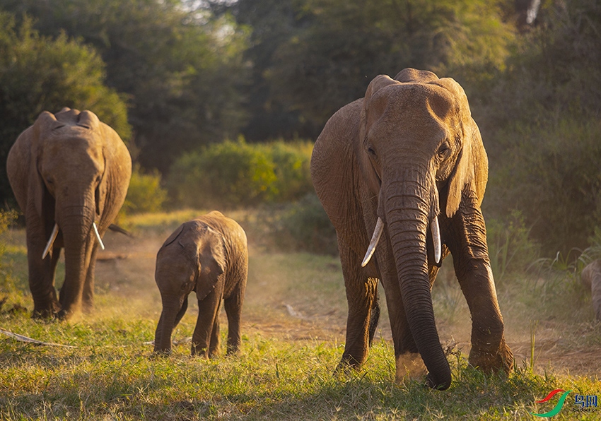 ���� (2).jpg