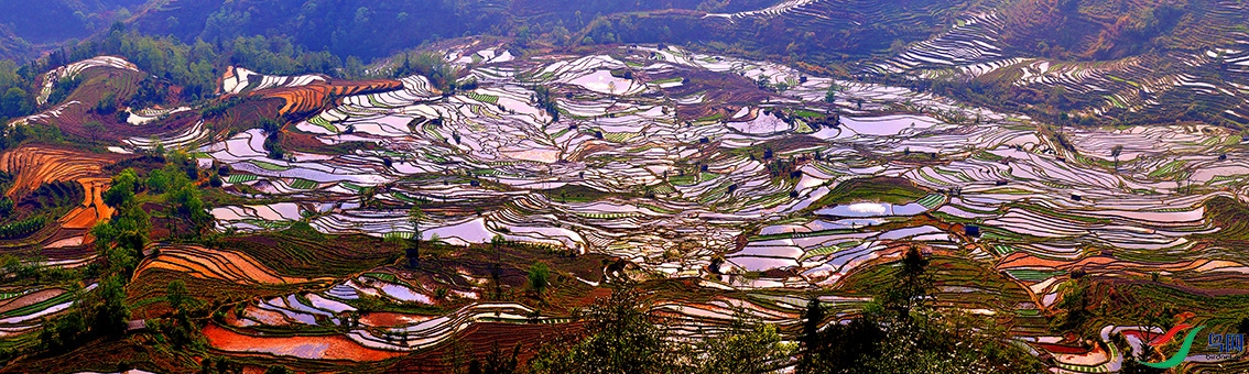 48.����Ԫ�������ϻ���6218 19 20AOM.jpg