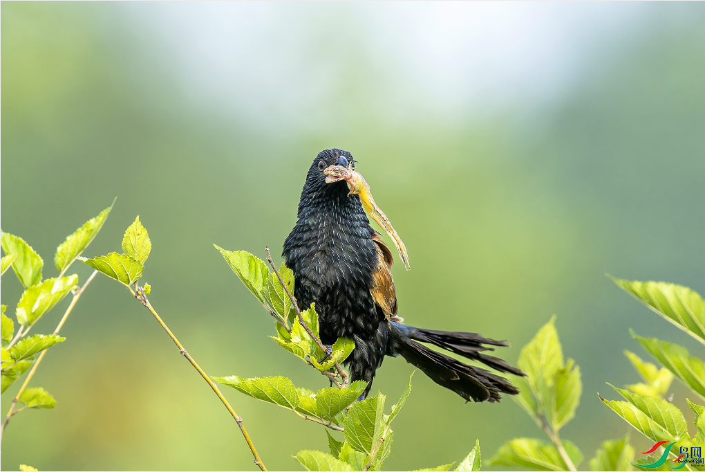 ���ϴ� С�ž� ��ҳ���� 8.1.png