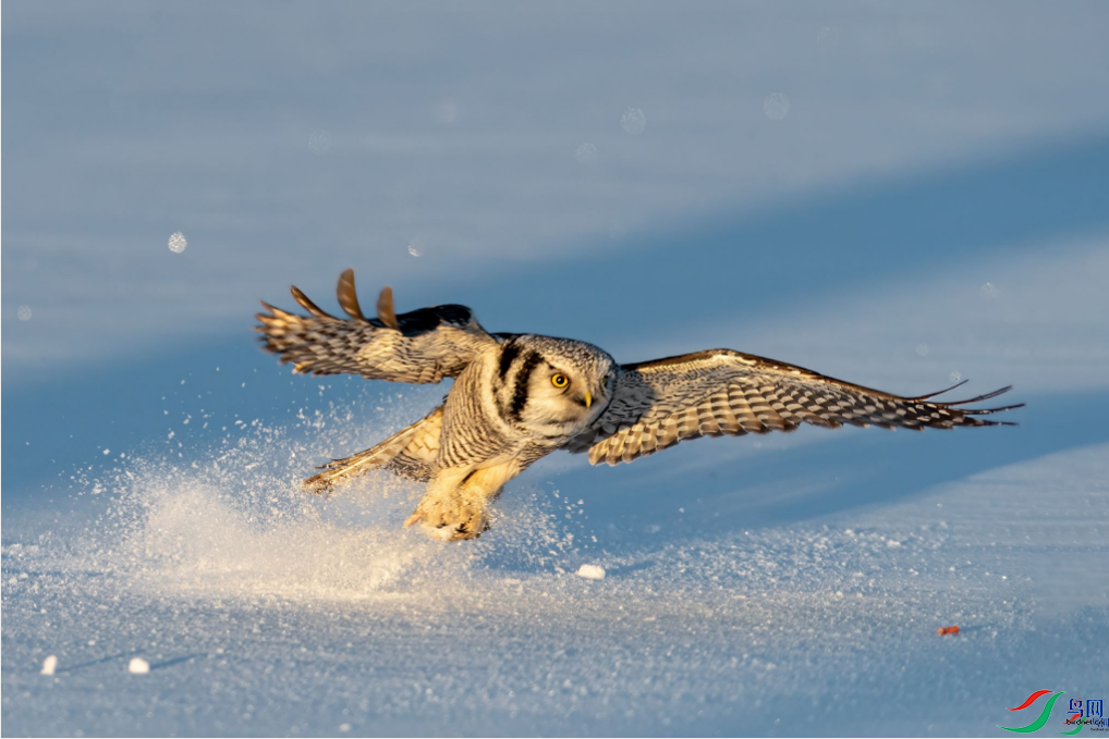 �{���� �ͣ���ҳ������8.4.png