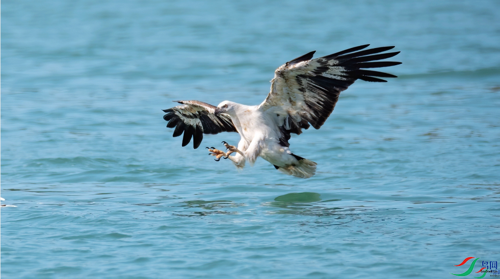 СС�ո� �׸����񡪡�����Ѱ������ҳ��������8.4.png