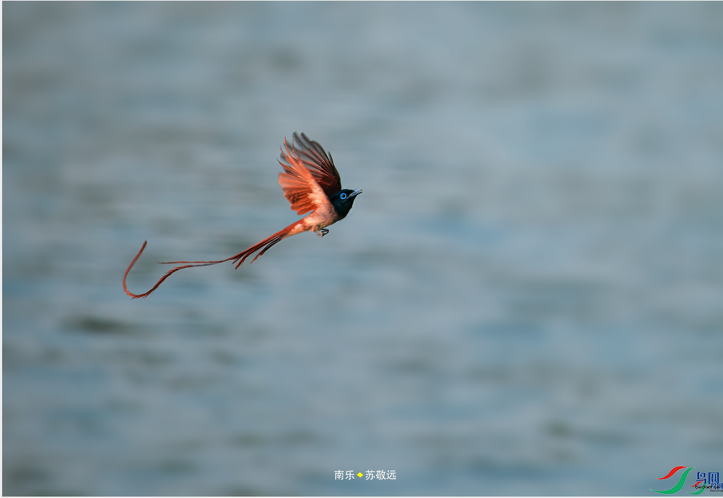 �վ�Զ ��練�����ҳ������8.26.png