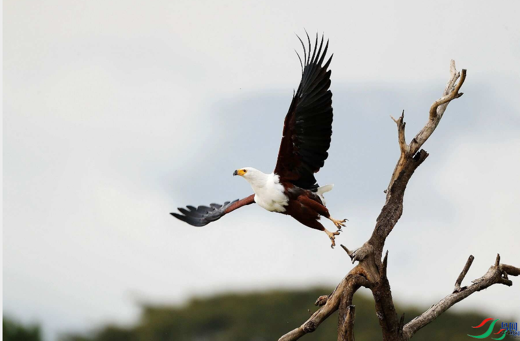 ���ִ�Į���� ������ҳ������8.26.png