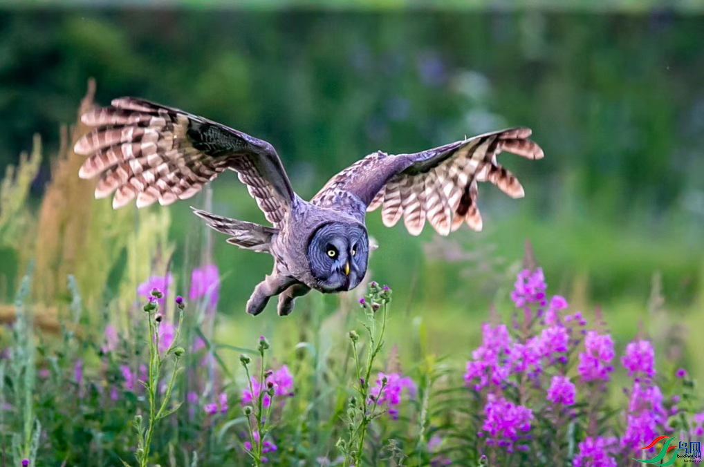 ���ִ�Į���� ���������^����ҳ������8.27.png