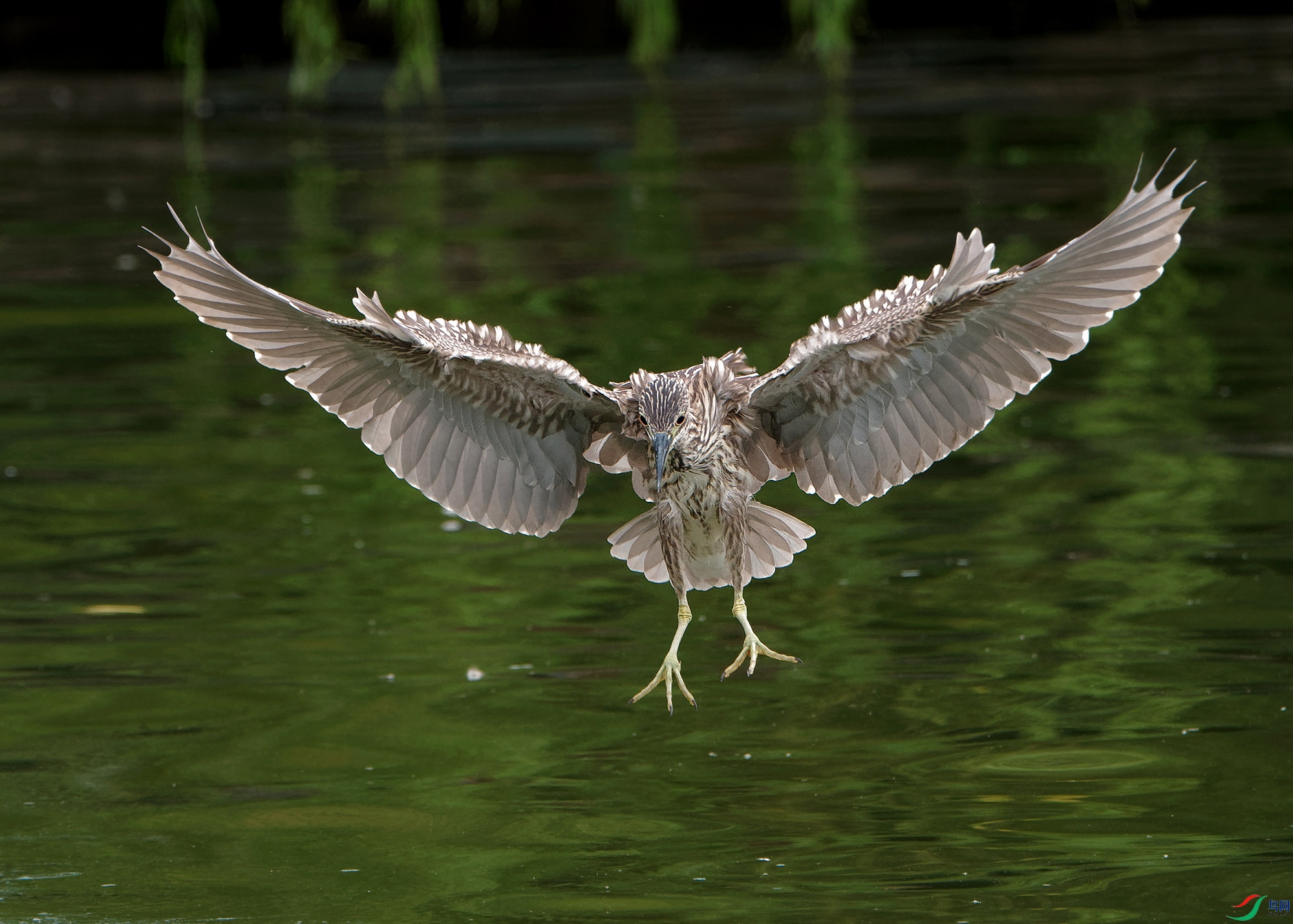 DSC_0213.jpg