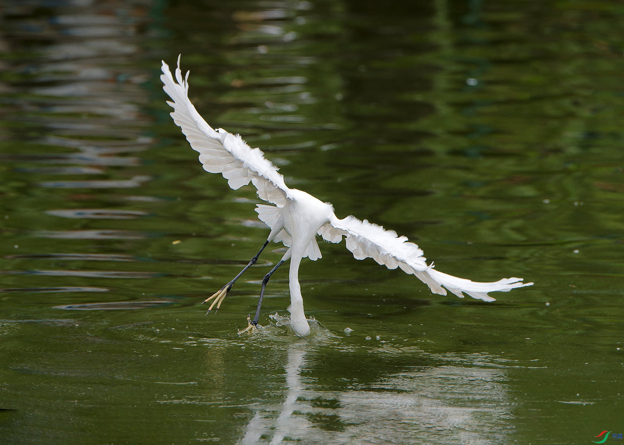 DSC_9709.jpg