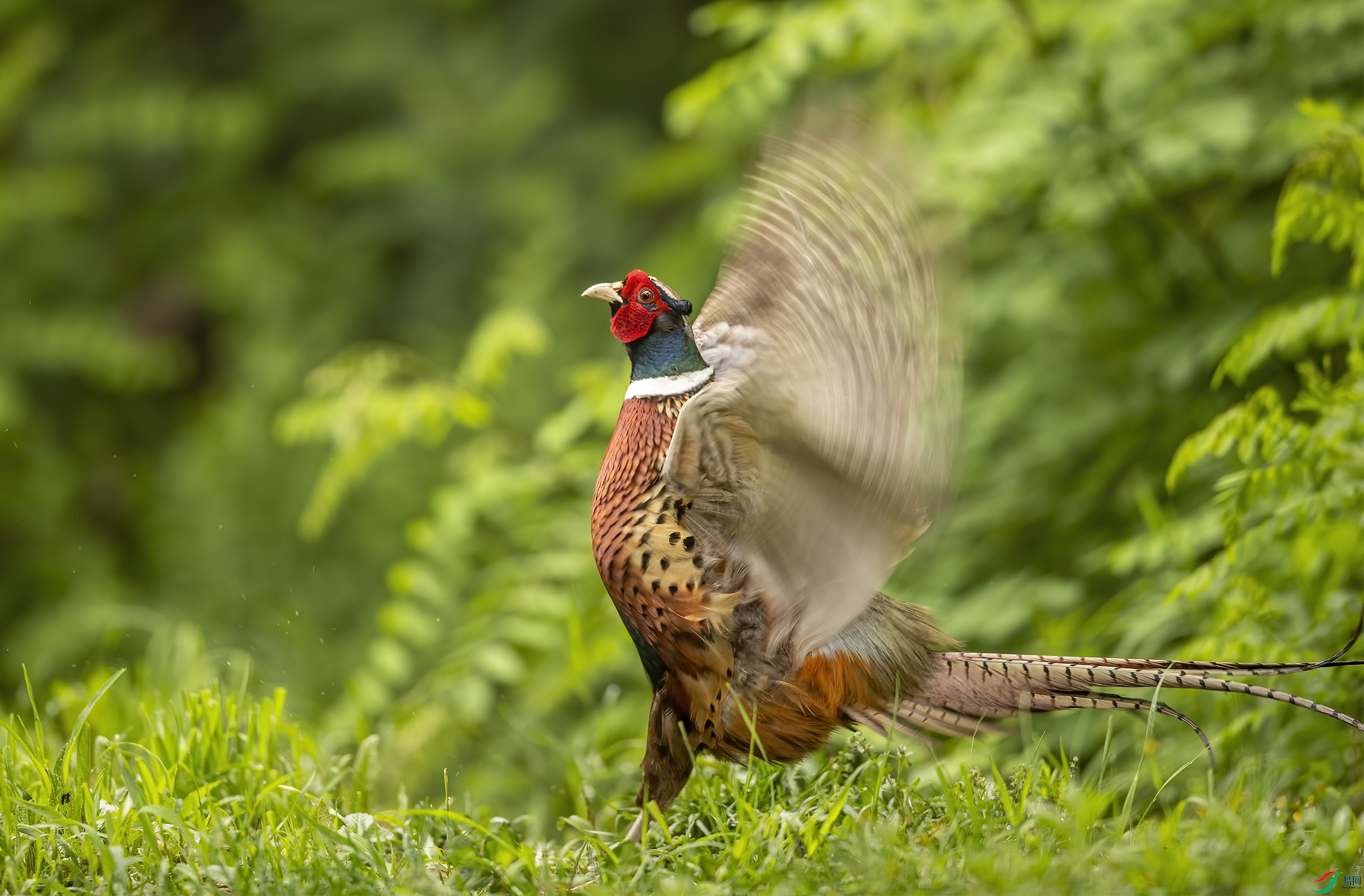 AC3I6075 ����.jpg