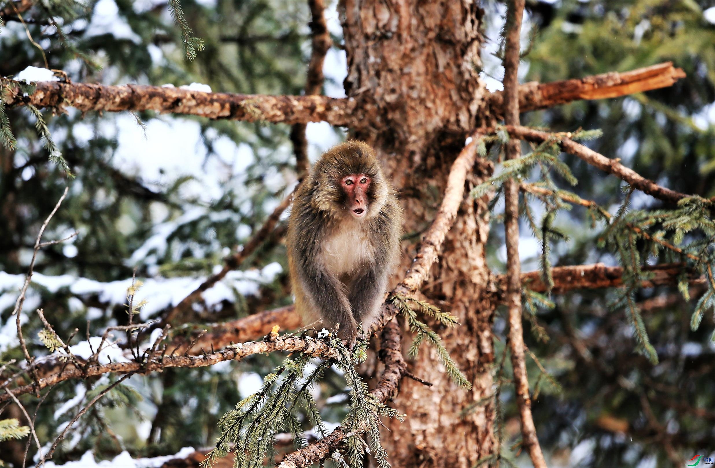 317����Ұ������ (122).JPG