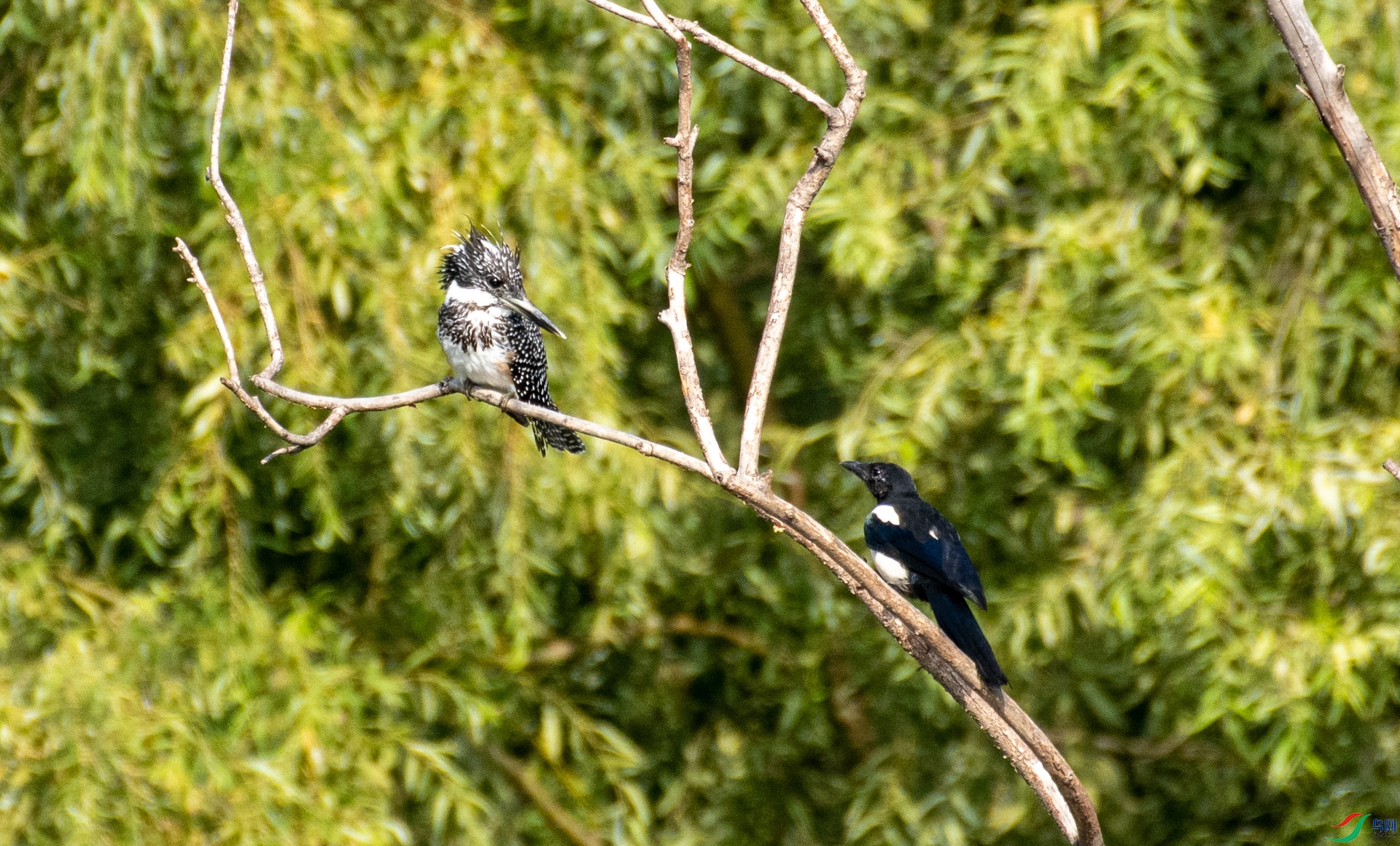 DSC_8826.jpg