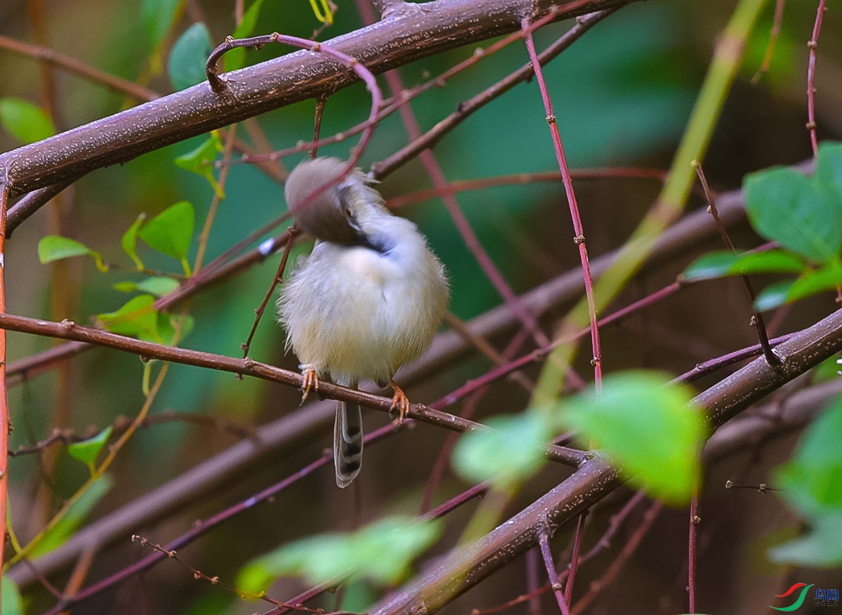 DSC_7756.JPG